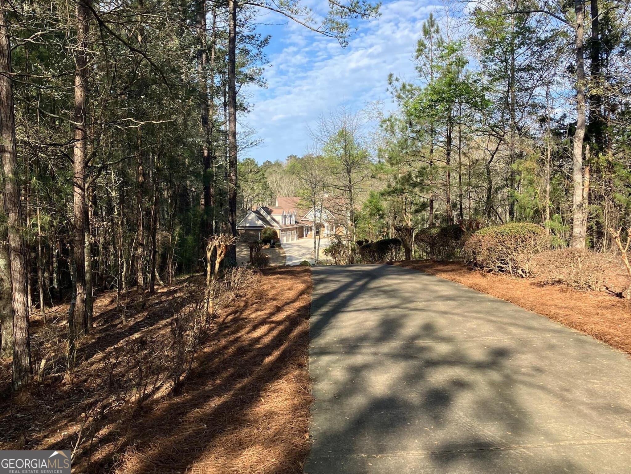 5 bedroom, 6.5 bathroom, 6,525 sq ft single family residence for sale at 5039 Liberty Road, Villa Rica, GA 30180 — photo 6