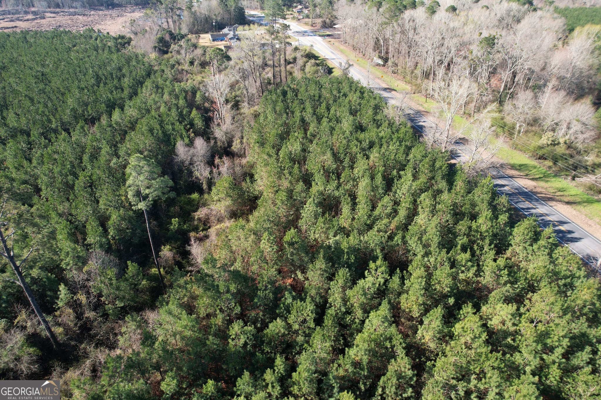 unimproved land for sale at 0 Burtons Ferry Highway, Sylvania, GA 30467 — photo 6