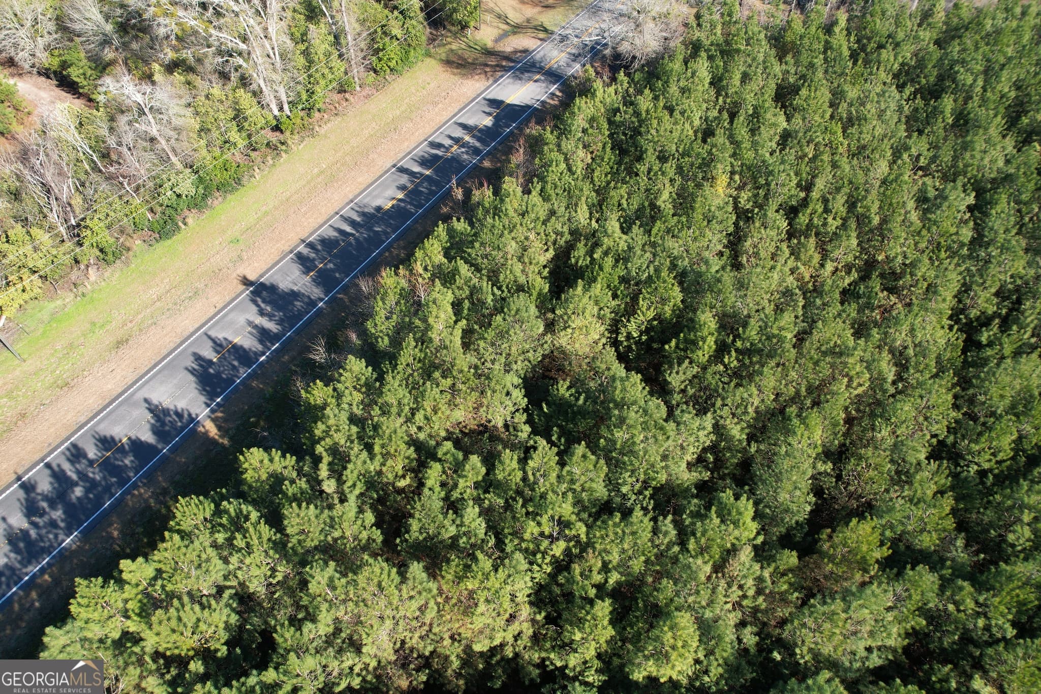 unimproved land for sale at 0 Burtons Ferry Highway, Sylvania, GA 30467 — photo 7