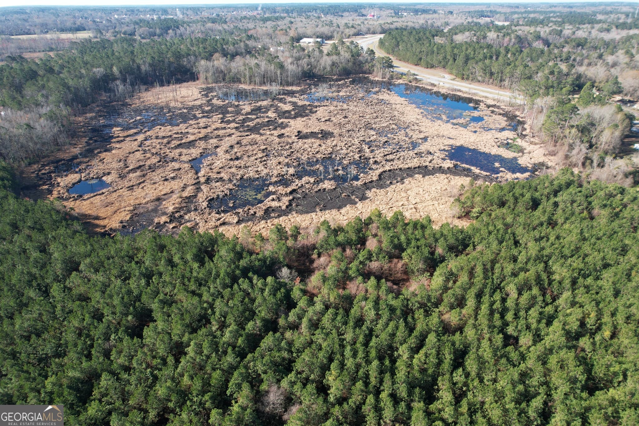 unimproved land for sale at 0 Burtons Ferry Highway, Sylvania, GA 30467 — photo 3