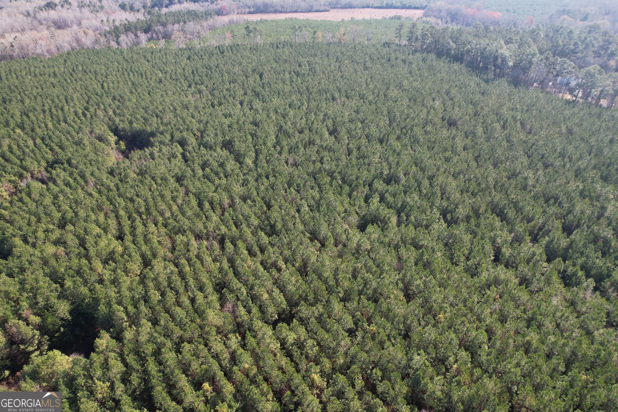 unimproved land for sale at 0 Burtons Ferry Highway, Sylvania, GA 30467 — photo 5