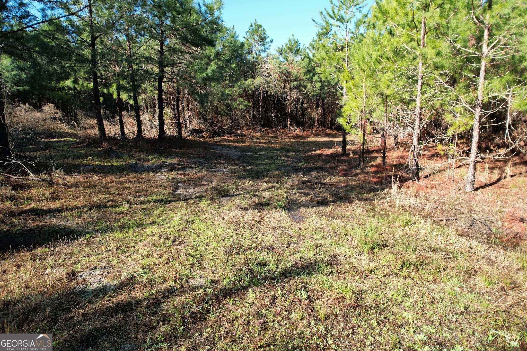 unimproved land for sale at 0 Burtons Ferry Highway, Sylvania, GA 30467 — photo 9