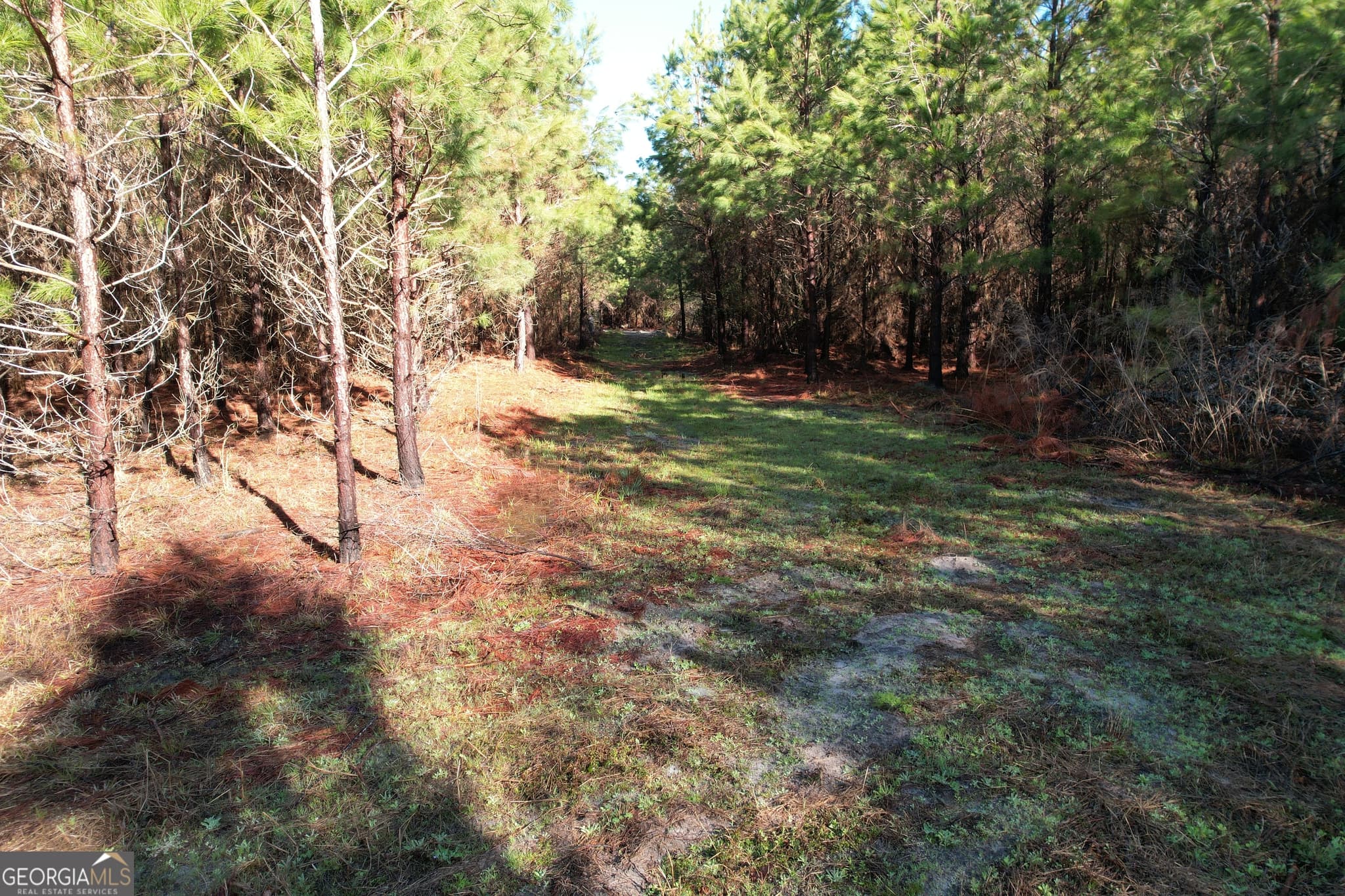 unimproved land for sale at 0 Burtons Ferry Highway, Sylvania, GA 30467 — photo 10