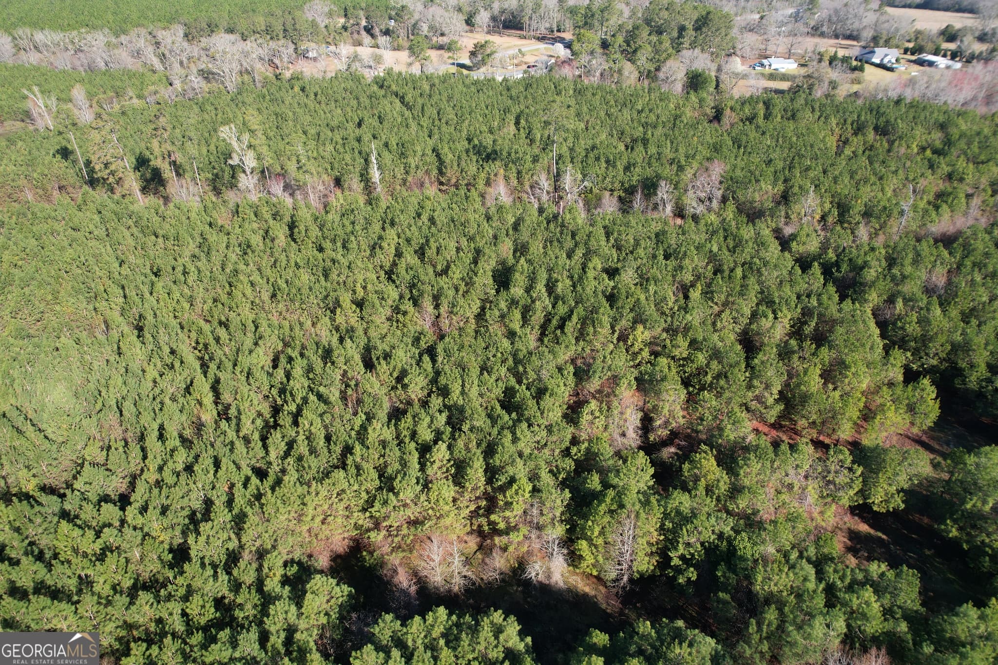 unimproved land for sale at 0 Burtons Ferry Highway, Sylvania, GA 30467 — photo 4