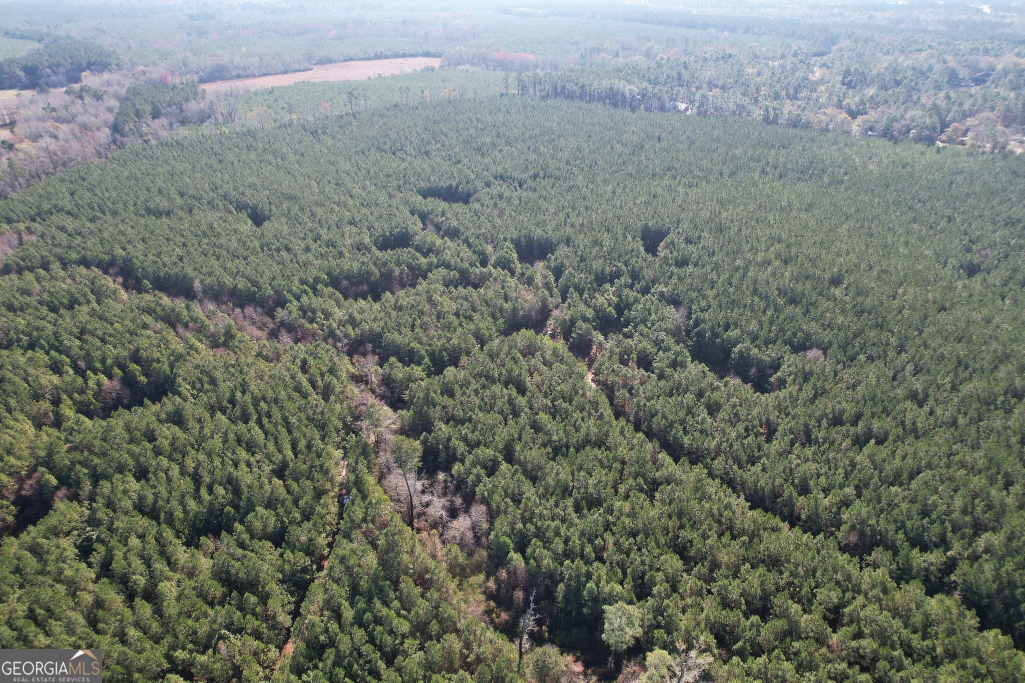 unimproved land for sale at 0 Burtons Ferry Highway, Sylvania, GA 30467 — photo 8