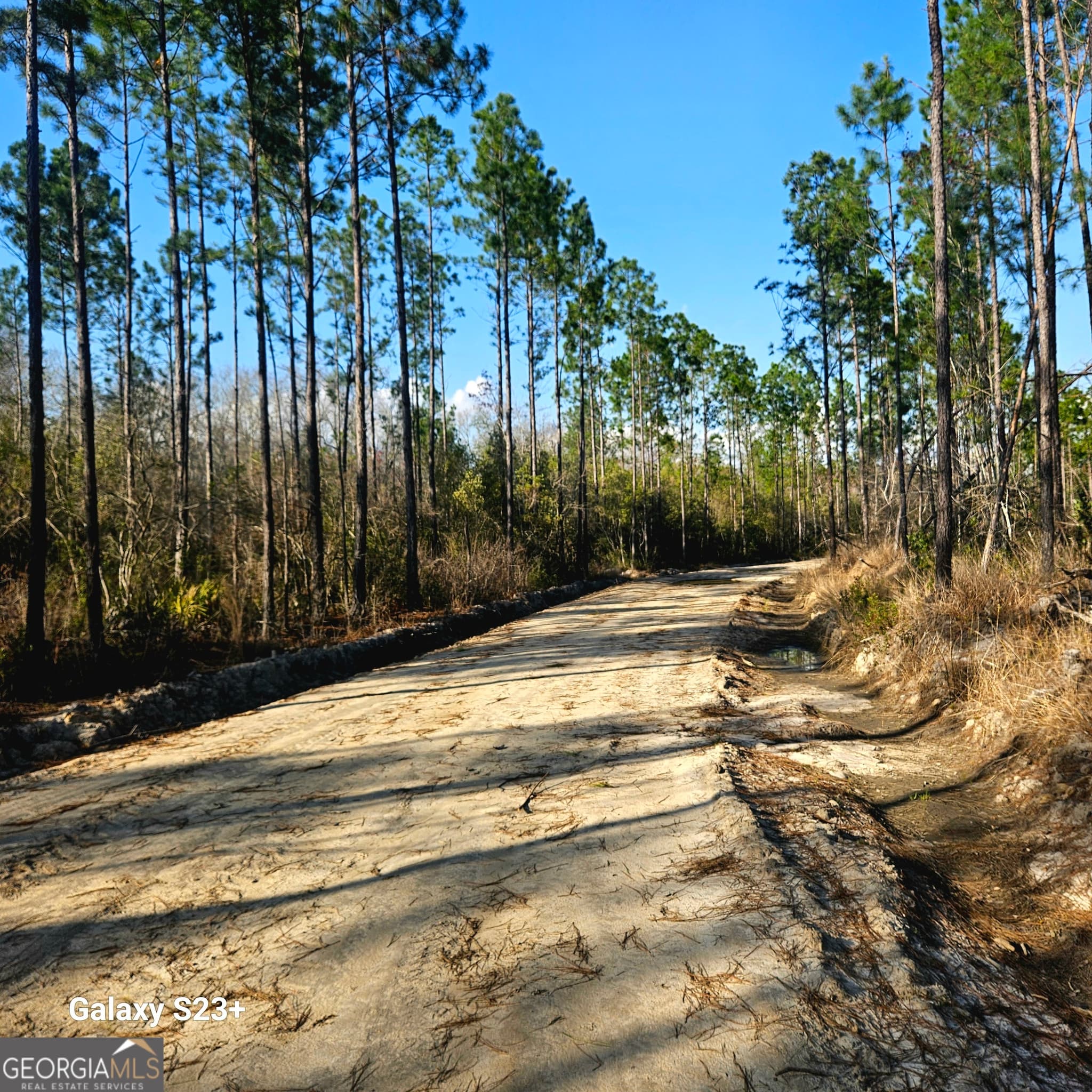 unimproved land for sale at 0 Mill Branch Club Rd 1I, Pembroke, GA 31321 — photo 1 of 2