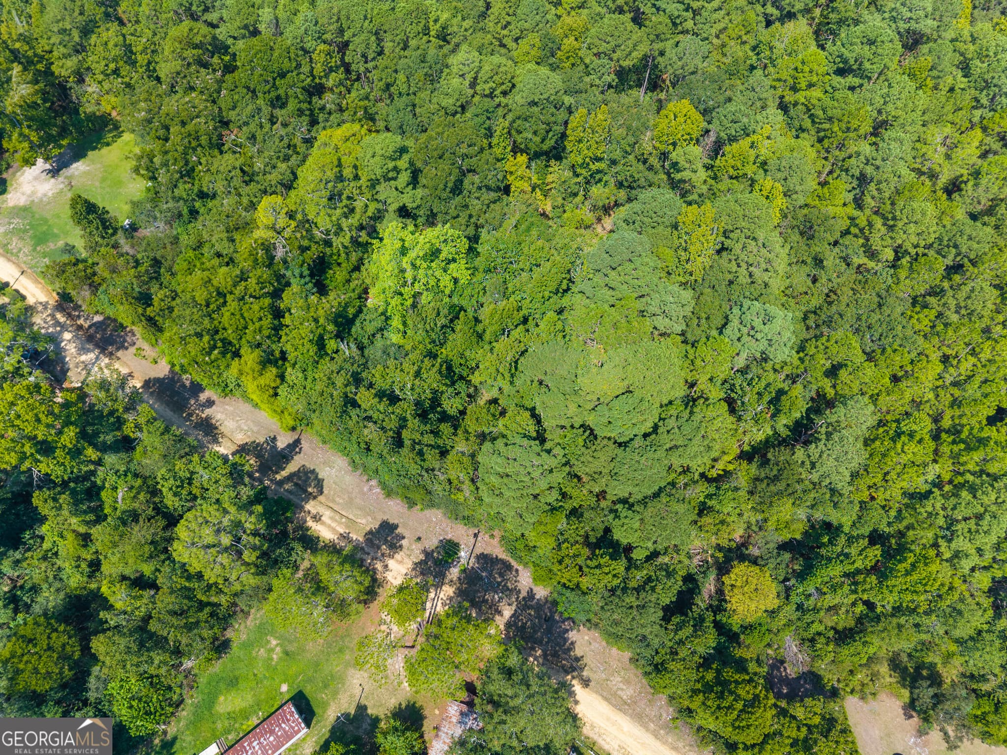 unimproved land for sale at 0 Cutter Lane, Sylvania, GA 30467 — photo 2