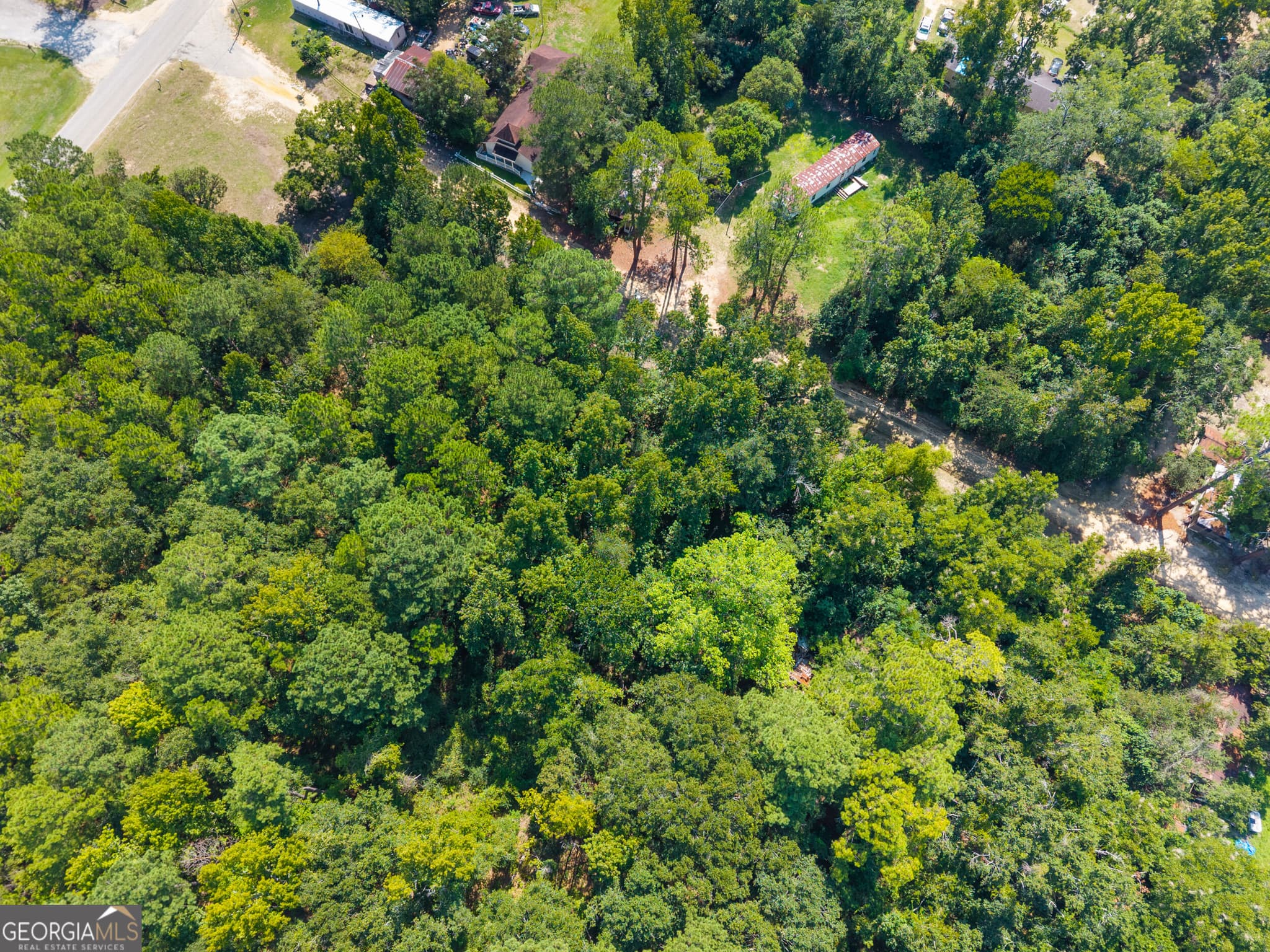 unimproved land for sale at 0 Cutter Lane, Sylvania, GA 30467 — photo 7