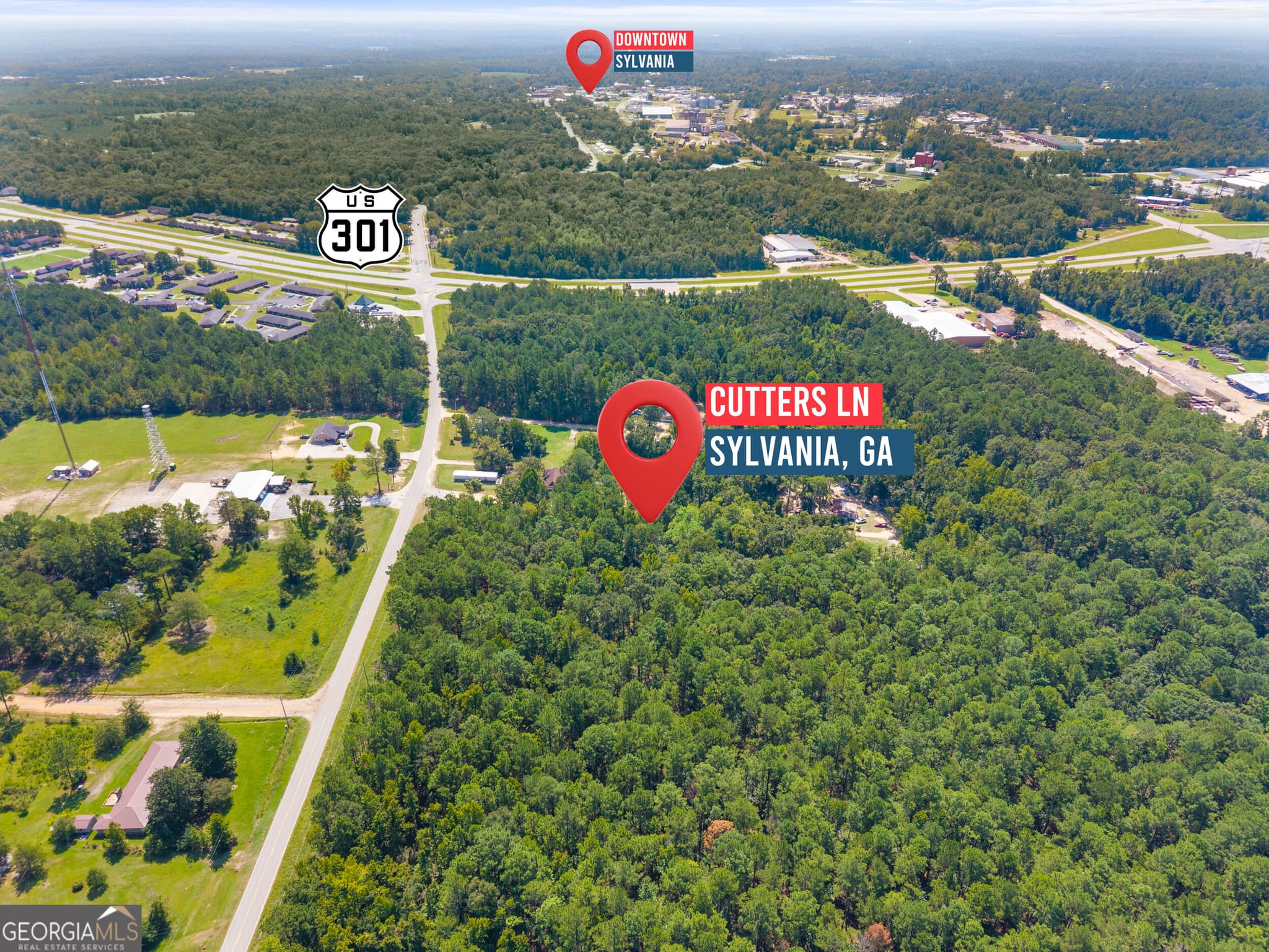 unimproved land for sale at 0 Cutter Lane, Sylvania, GA 30467 — photo 5