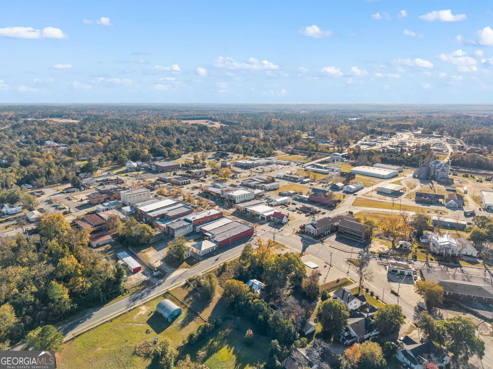 unimproved land for sale at 0 Cutter Lane, Sylvania, GA 30467 — photo 10