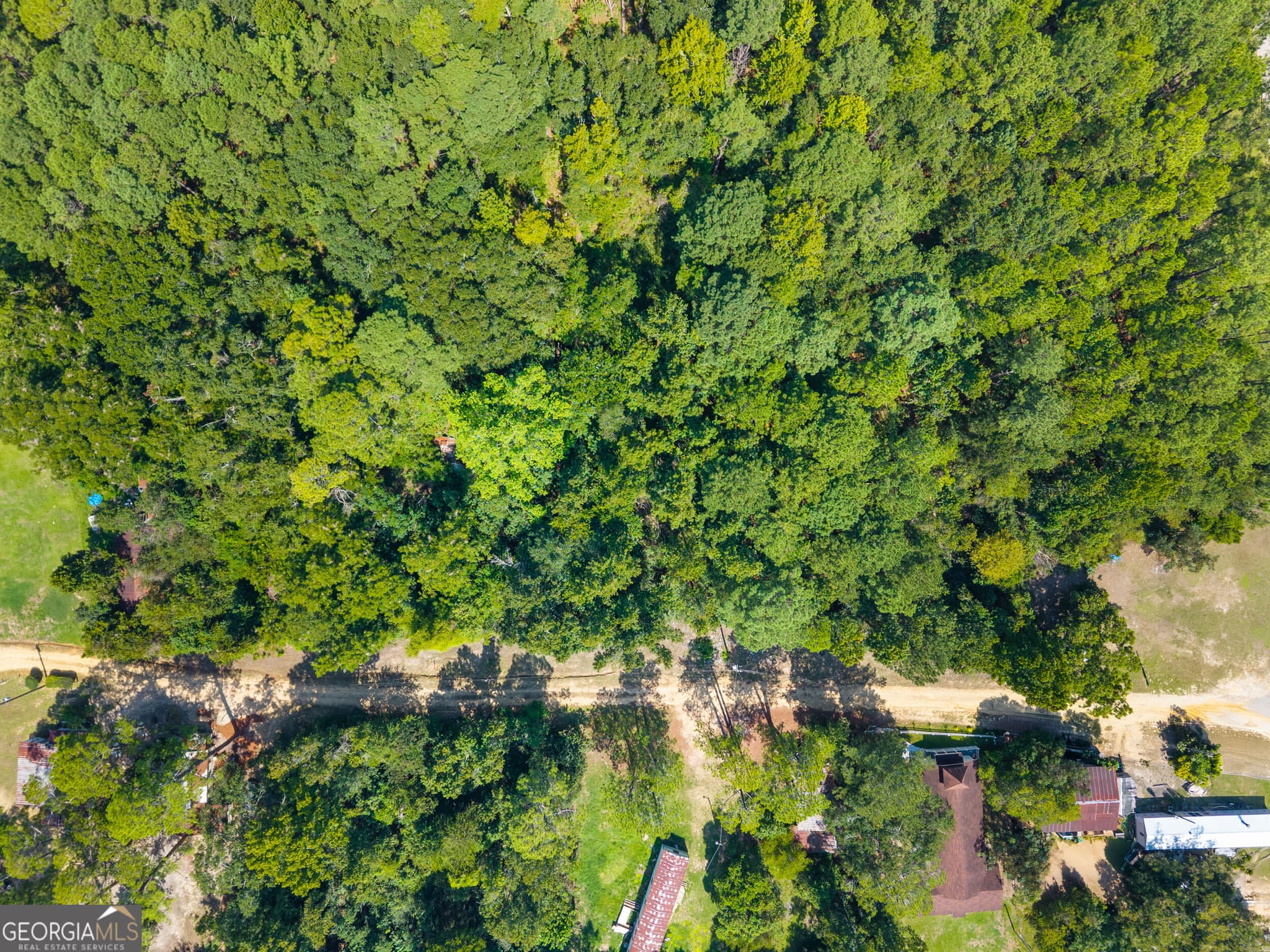 unimproved land for sale at 0 Cutter Lane, Sylvania, GA 30467 — photo 4