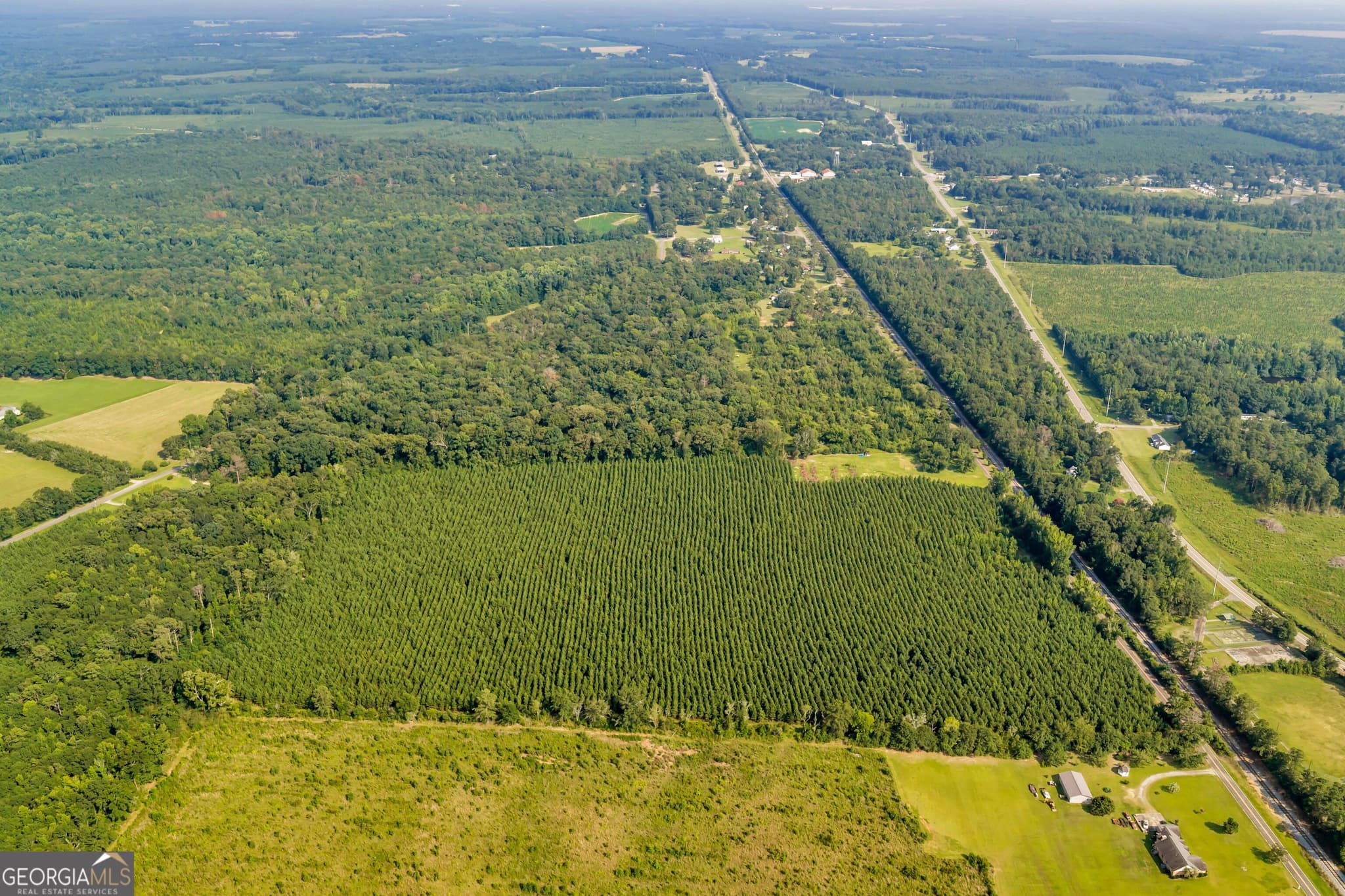 unimproved land for sale at ALLEN LOT Turkey Creek Road, Danville, GA 31017 — photo 6
