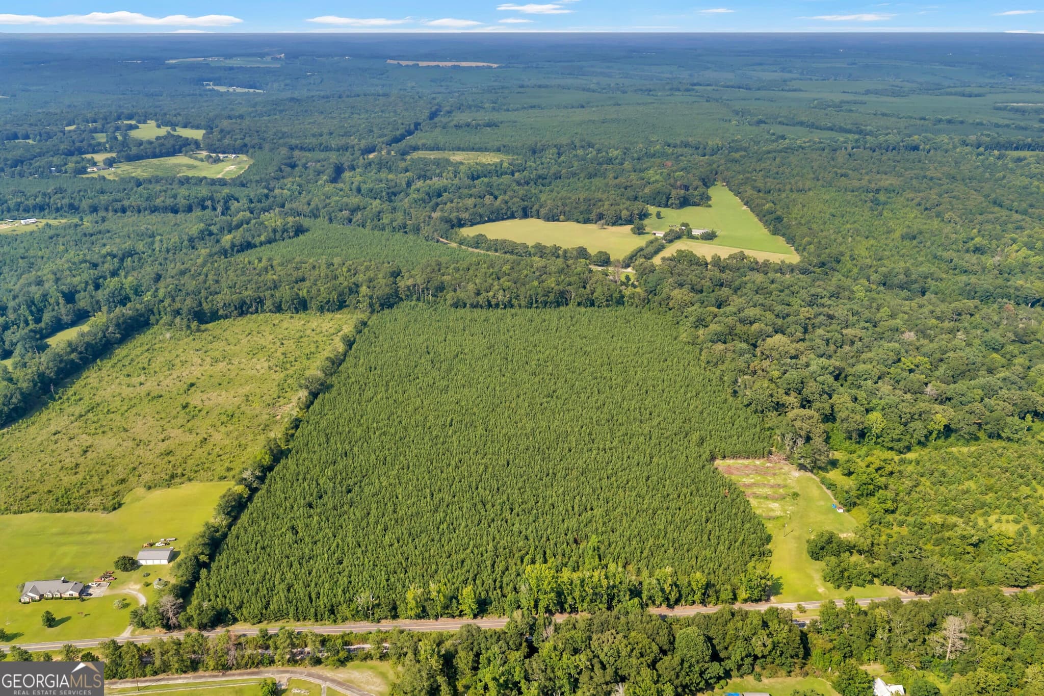unimproved land for sale at ALLEN LOT Turkey Creek Road, Danville, GA 31017 — photo 3