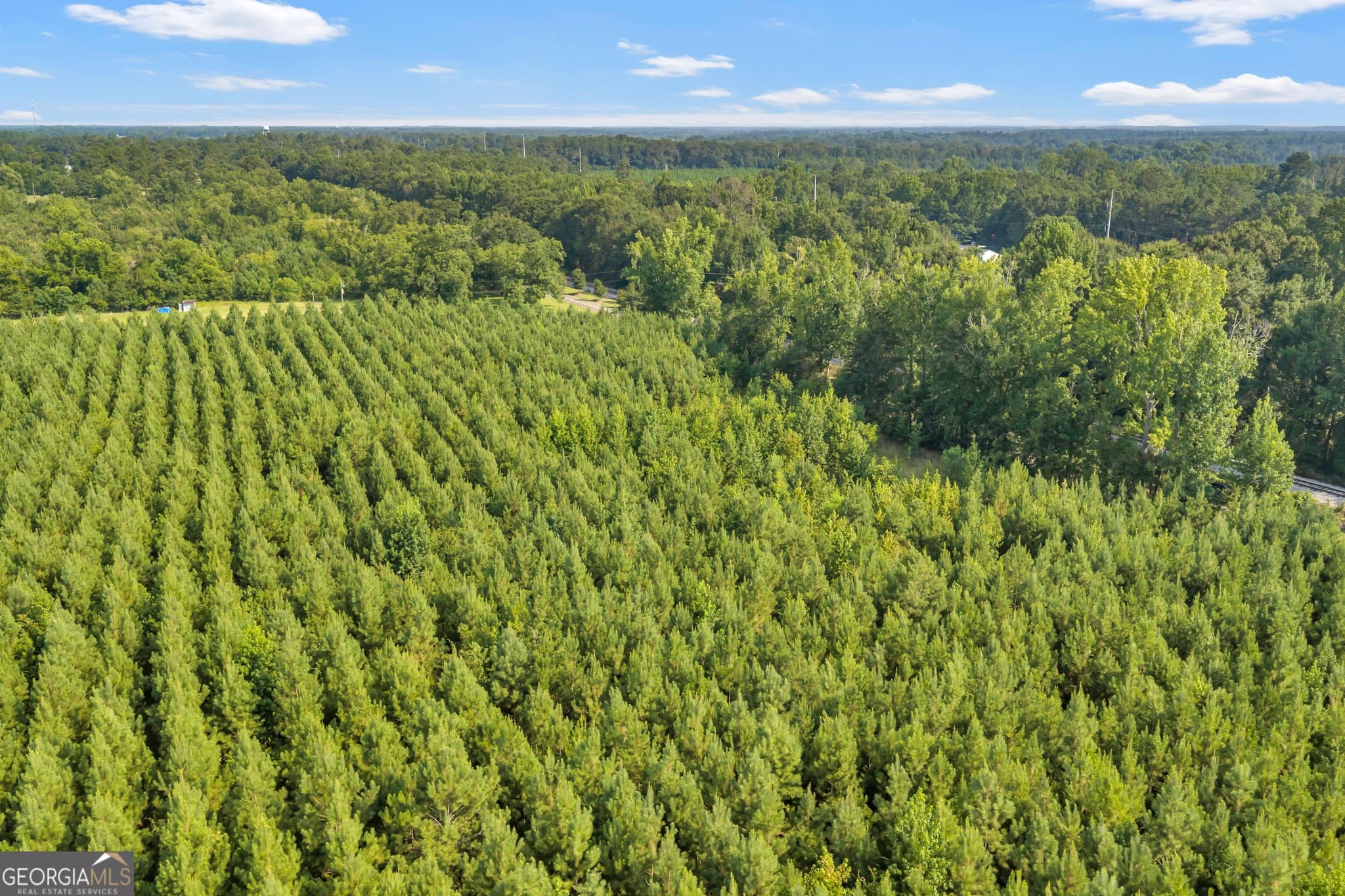 unimproved land for sale at ALLEN LOT Turkey Creek Road, Danville, GA 31017 — photo 1 of 8