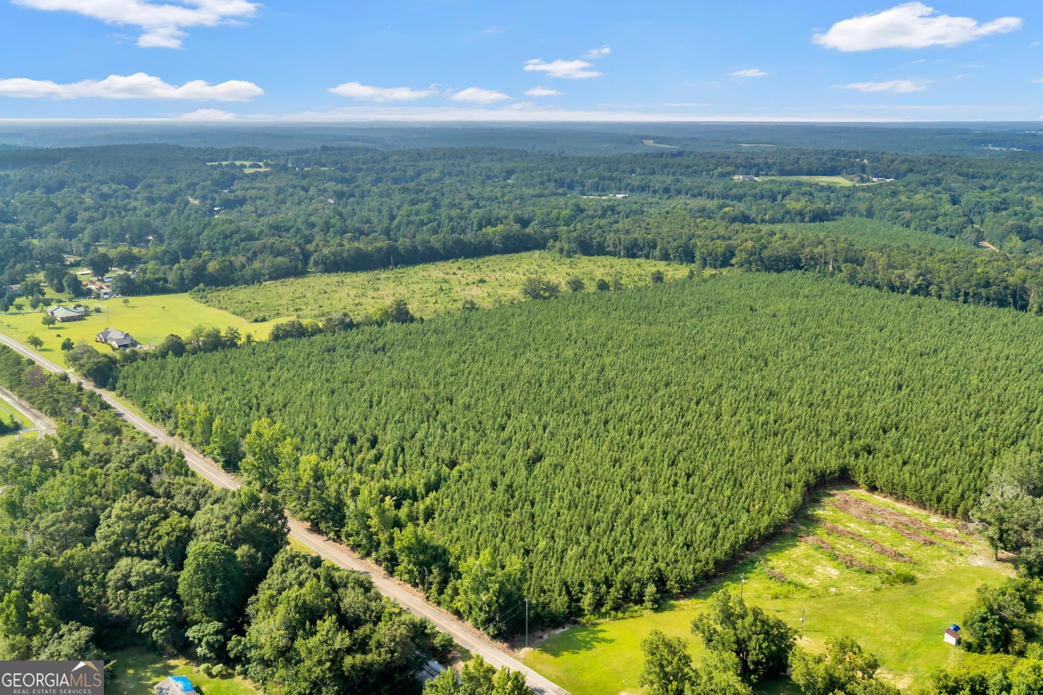 unimproved land for sale at ALLEN LOT Turkey Creek Road, Danville, GA 31017 — photo 4