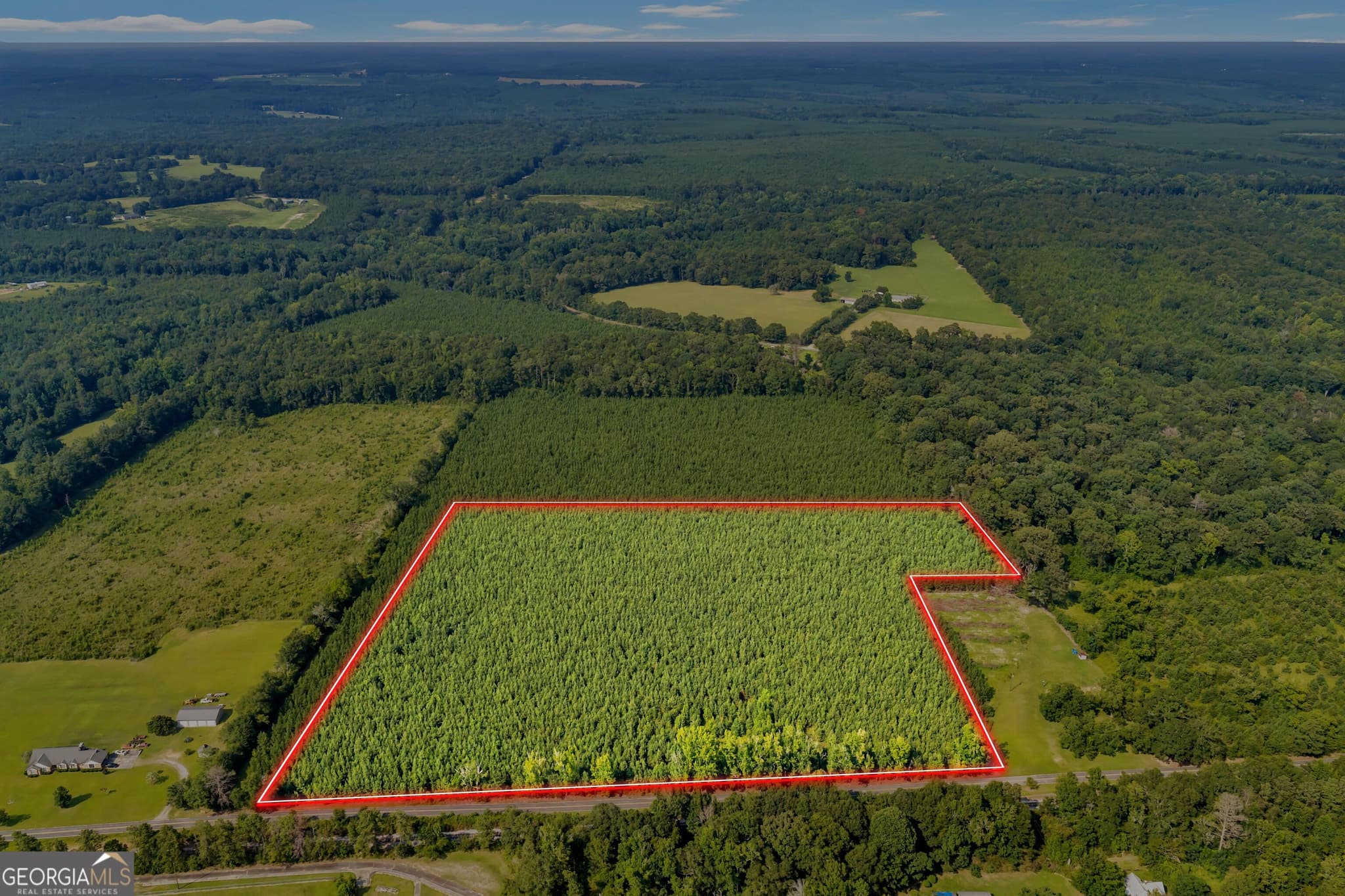 unimproved land for sale at ALLEN LOT Turkey Creek Road, Danville, GA 31017 — photo 8