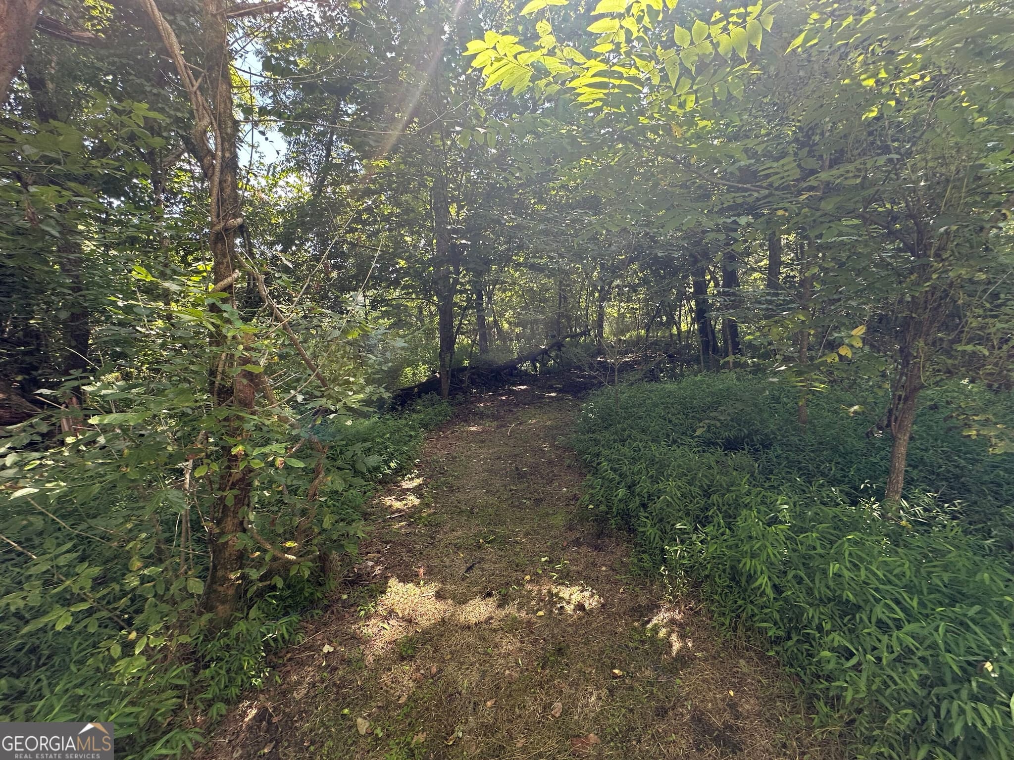 residential lot for sale at LOTS 5&6 Qualla Terrace, Hayesville, NC 28904 — photo 2