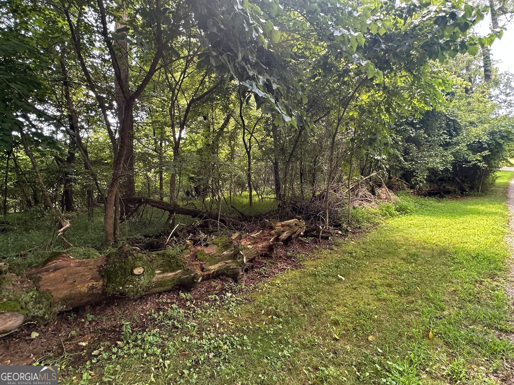 residential lot for sale at LOTS 5&6 Qualla Terrace, Hayesville, NC 28904 — photo 1 of 7