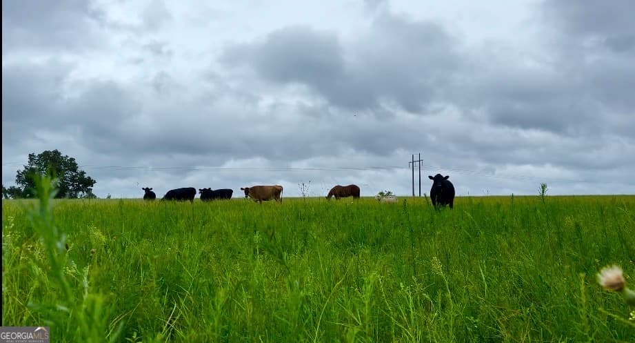 agriculture sold at 0 Lynntown Road, Collins, GA 30421