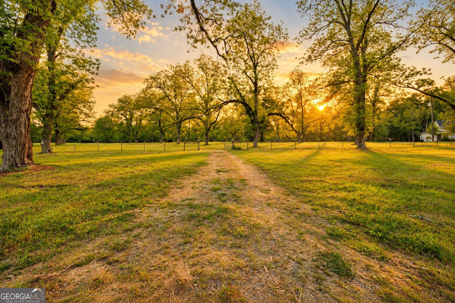agriculture for sale at 117 Zebulon Street, Milner, GA 30257 — photo 2