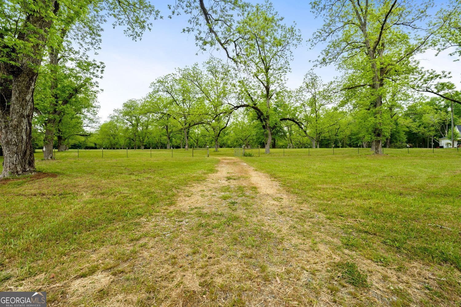 agriculture for sale at 117 Zebulon Street, Milner, GA 30257 — photo 6