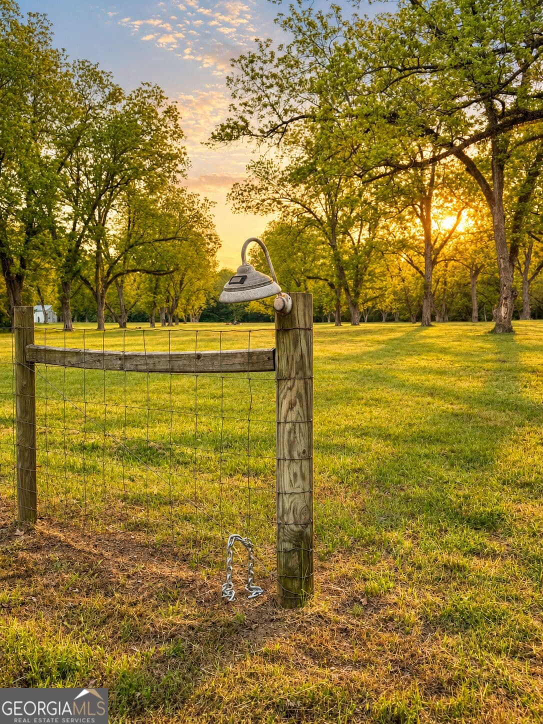 agriculture for sale at 117 Zebulon Street, Milner, GA 30257 — photo 3