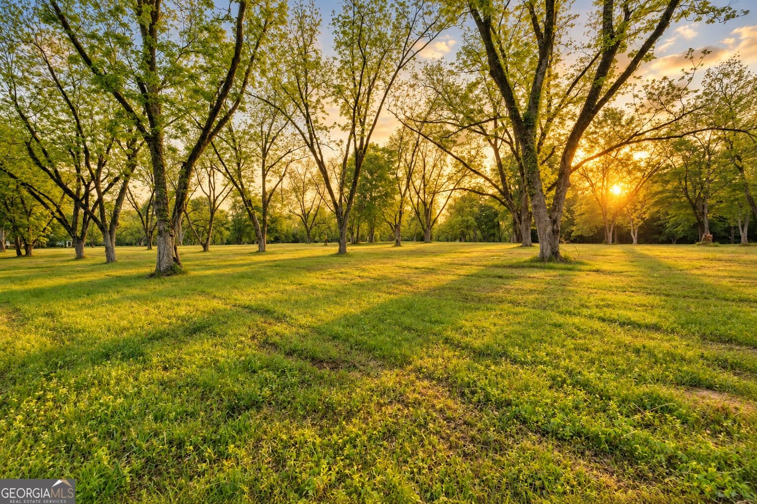 agriculture for sale at 117 Zebulon Street, Milner, GA 30257 — photo 1 of 28