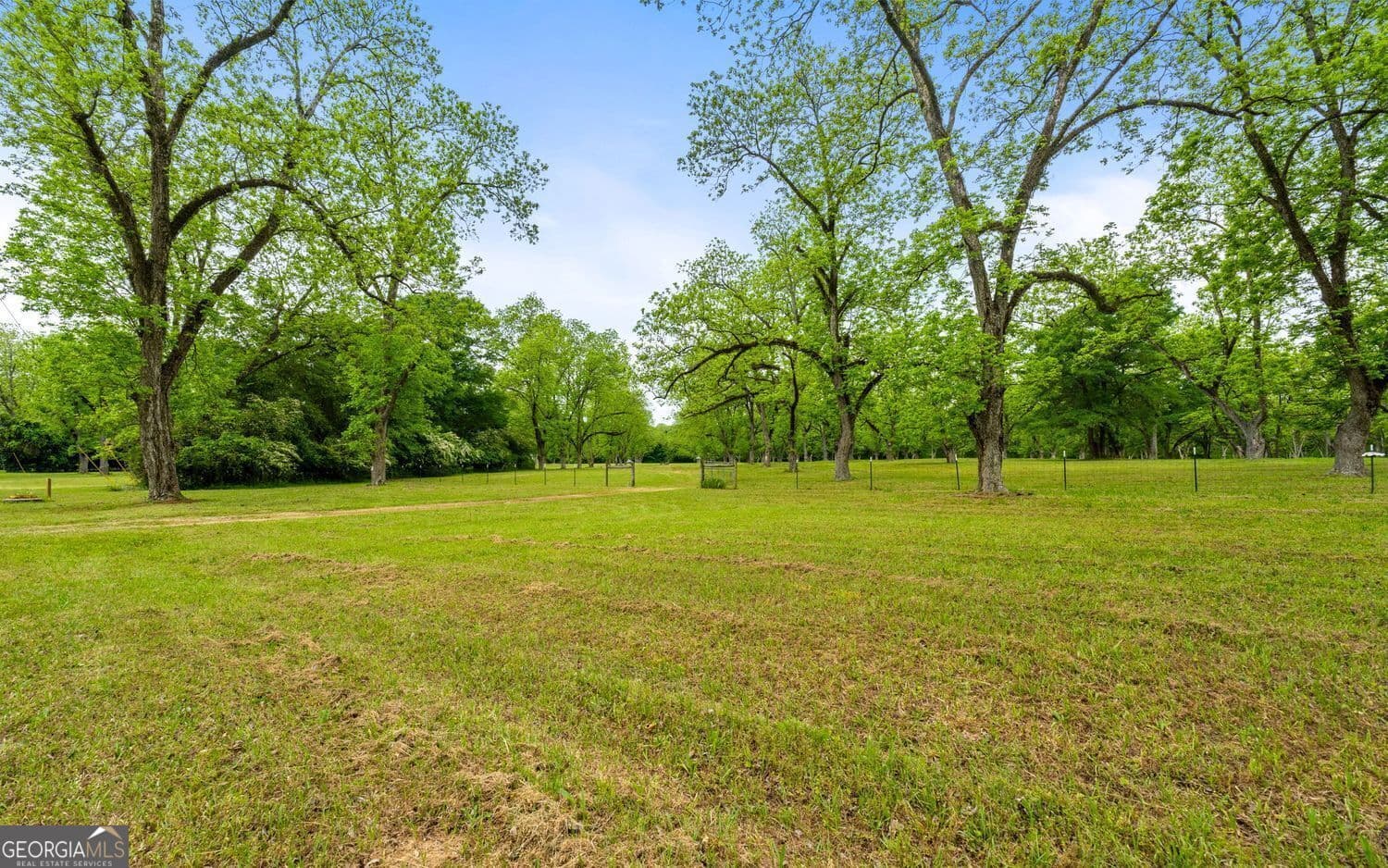 agriculture for sale at 117 Zebulon Street, Milner, GA 30257 — photo 5