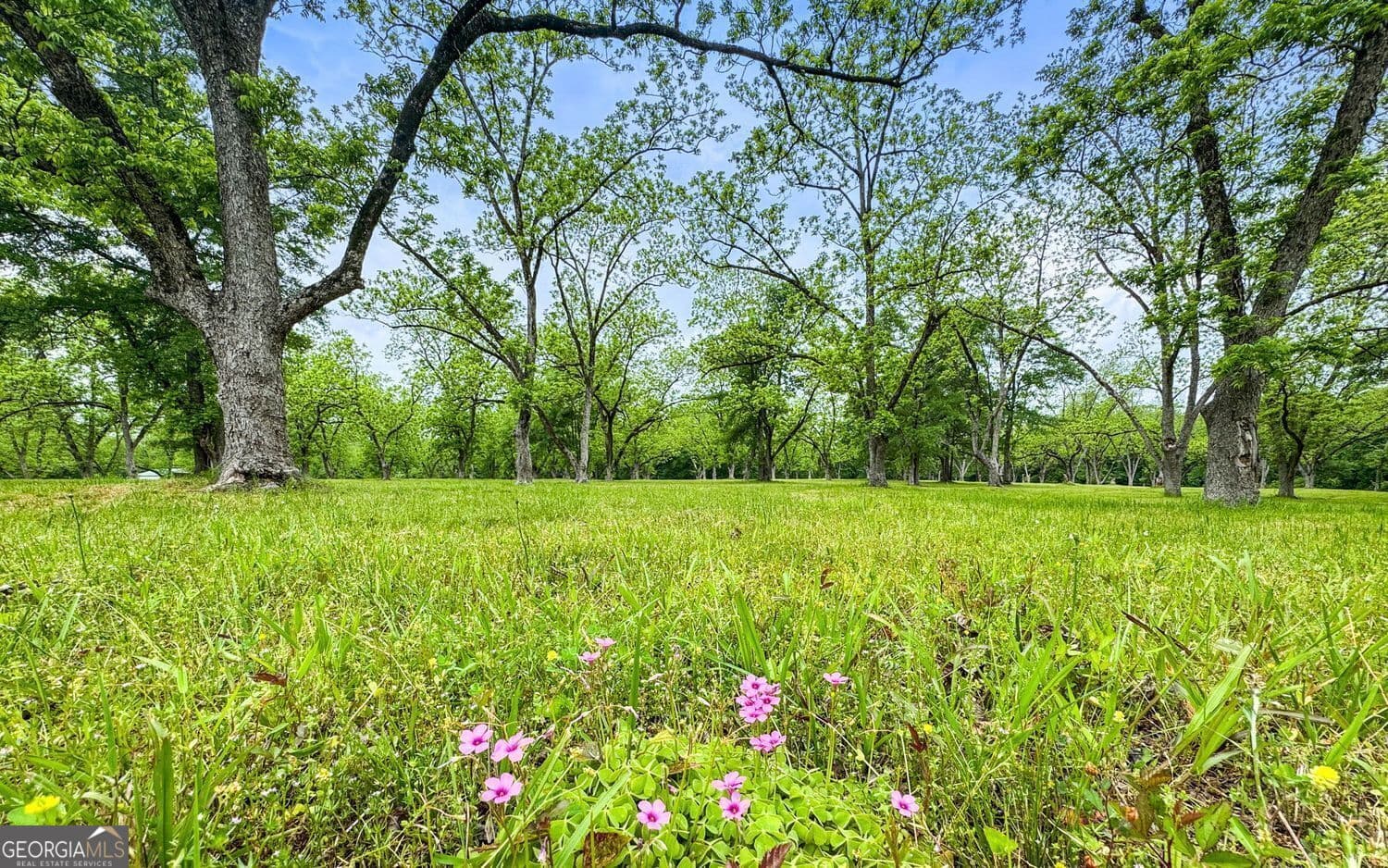 agriculture for sale at 117 Zebulon Street, Milner, GA 30257 — photo 9