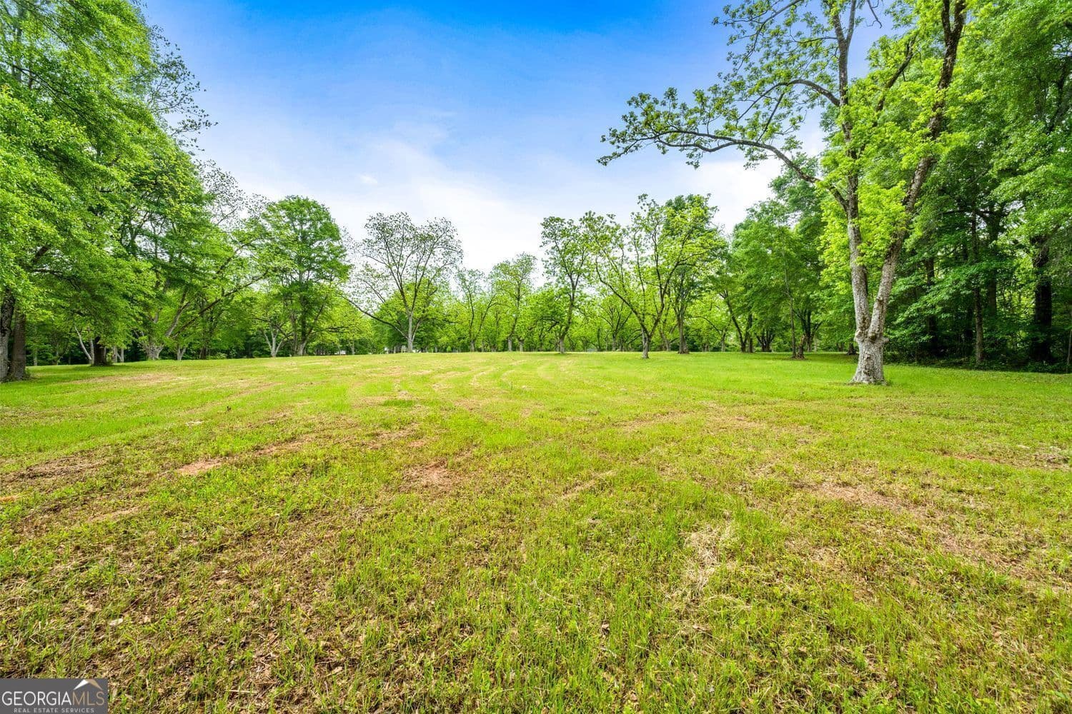 agriculture for sale at 117 Zebulon Street, Milner, GA 30257 — photo 10