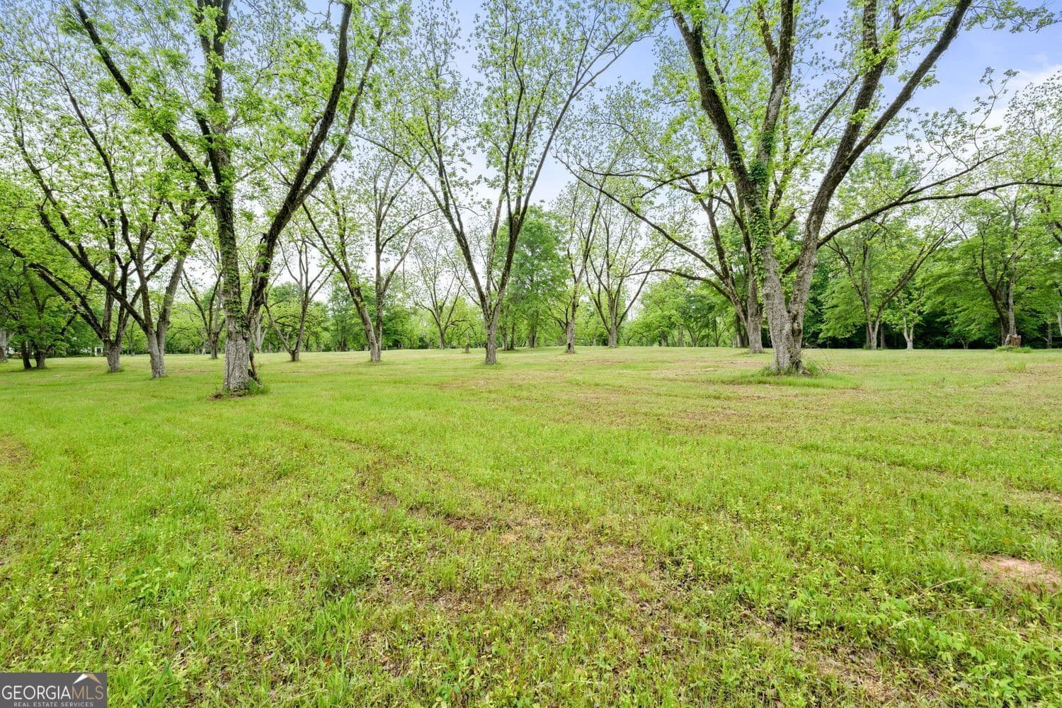 agriculture for sale at 117 Zebulon Street, Milner, GA 30257 — photo 8