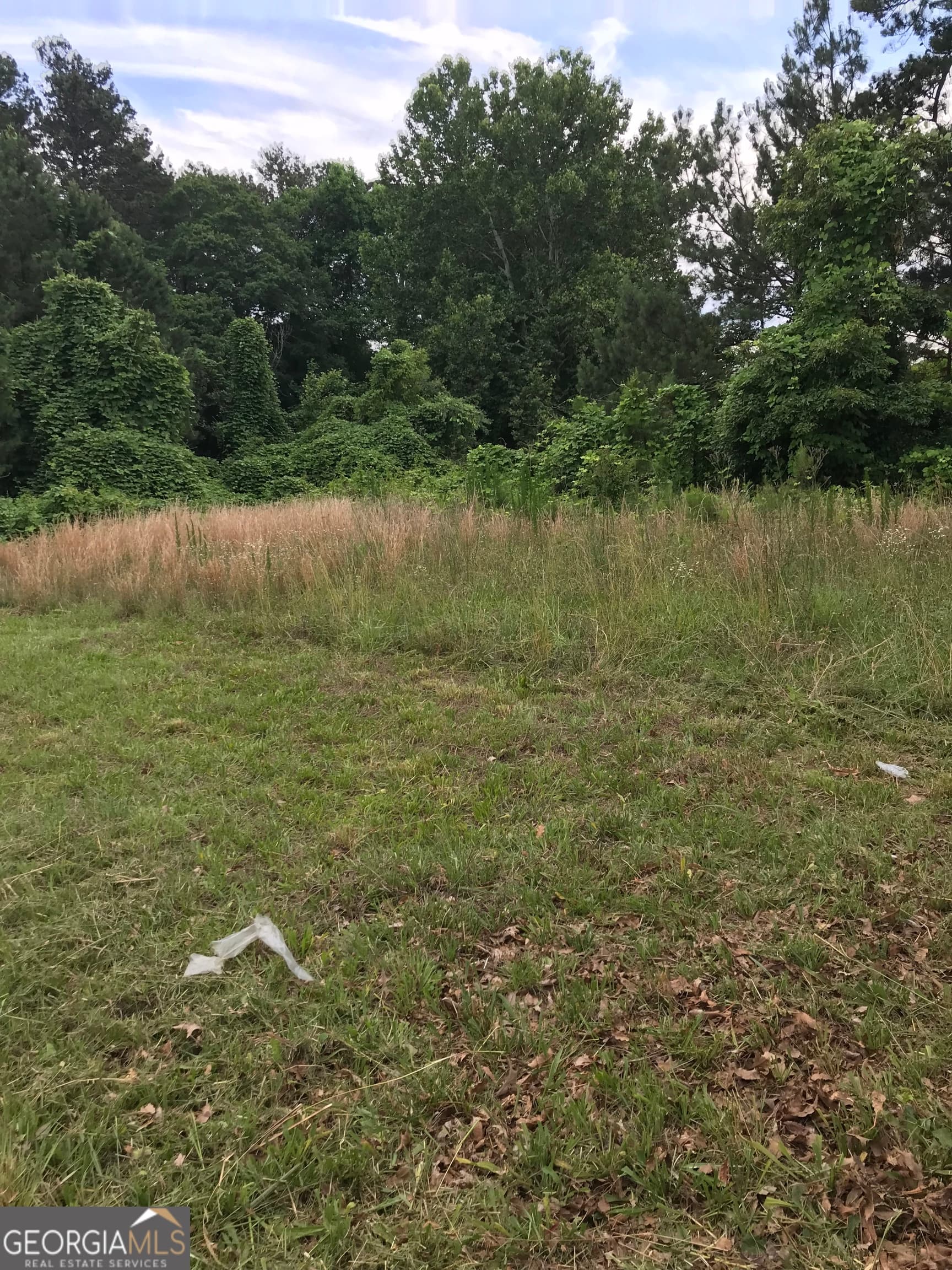 residential lot for sale at 41 Bay Crest Court L13, Loganville, GA 30052 — photo 6