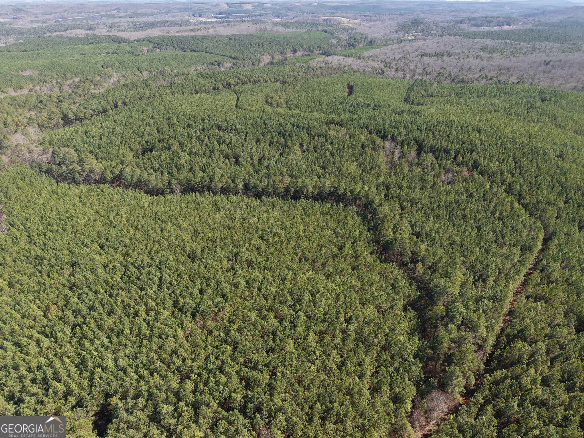 unimproved land for sale at 0 Rock Fence Road 8107, Adairsville, GA 30103 — photo 6