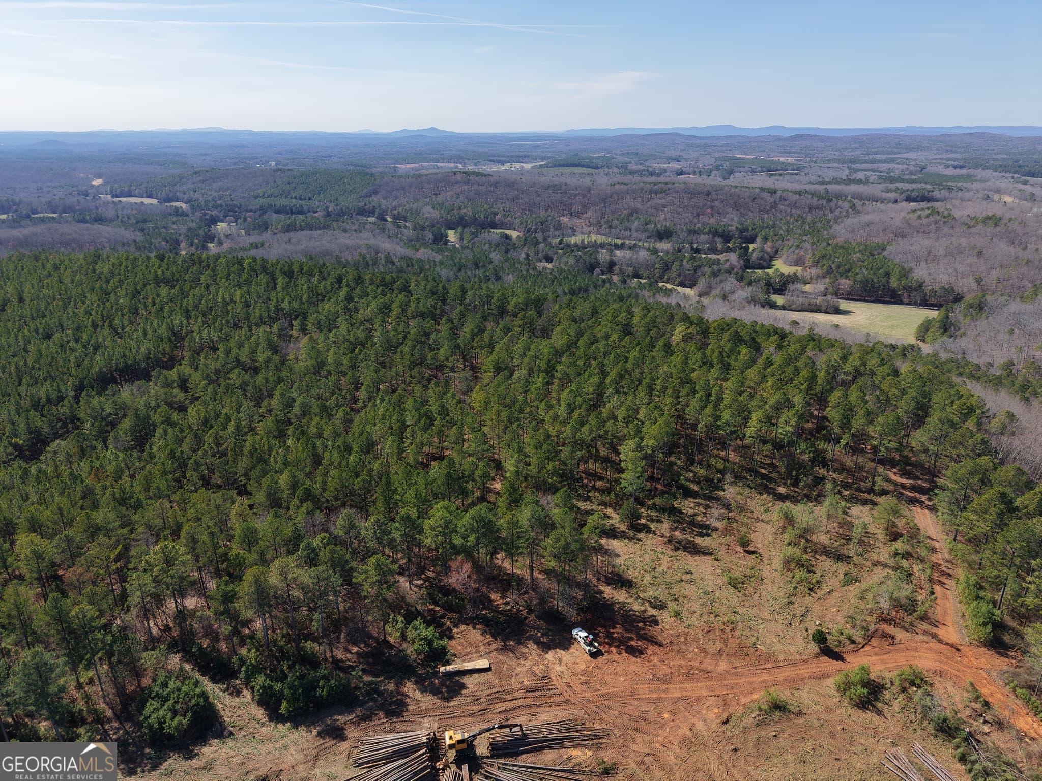 unimproved land for sale at 0 Rock Fence Road 8107, Adairsville, GA 30103 — photo 7