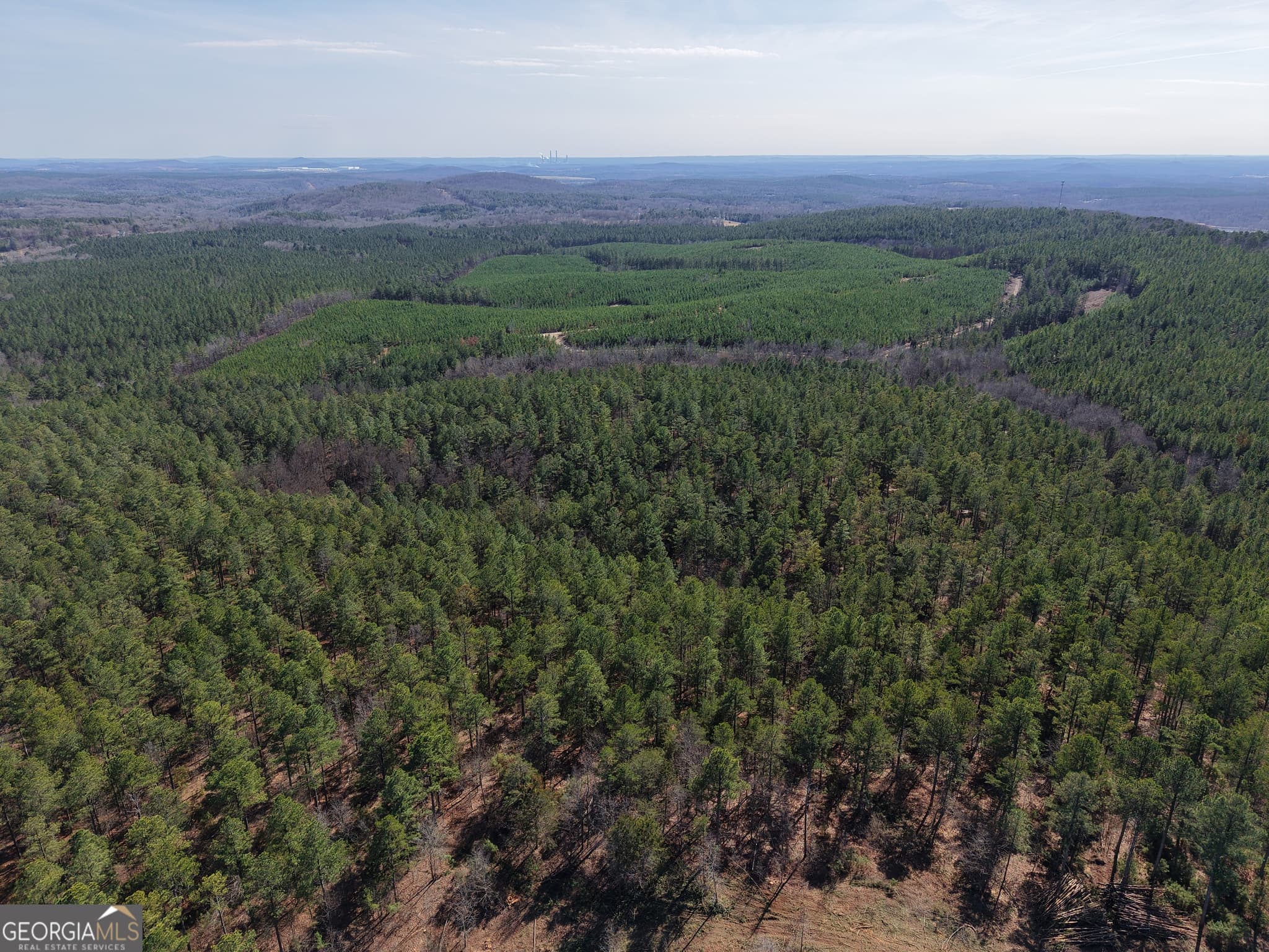 unimproved land for sale at 0 Rock Fence Road 8107, Adairsville, GA 30103 — photo 5