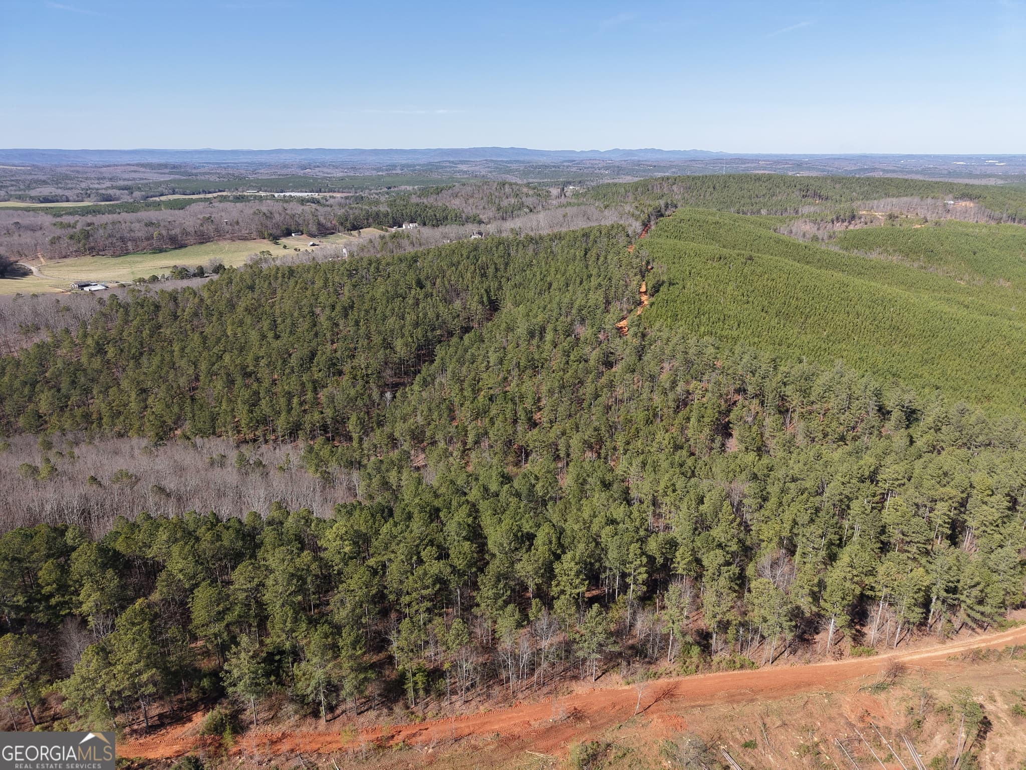 unimproved land for sale at 0 Rock Fence Road 8107, Adairsville, GA 30103 — photo 9