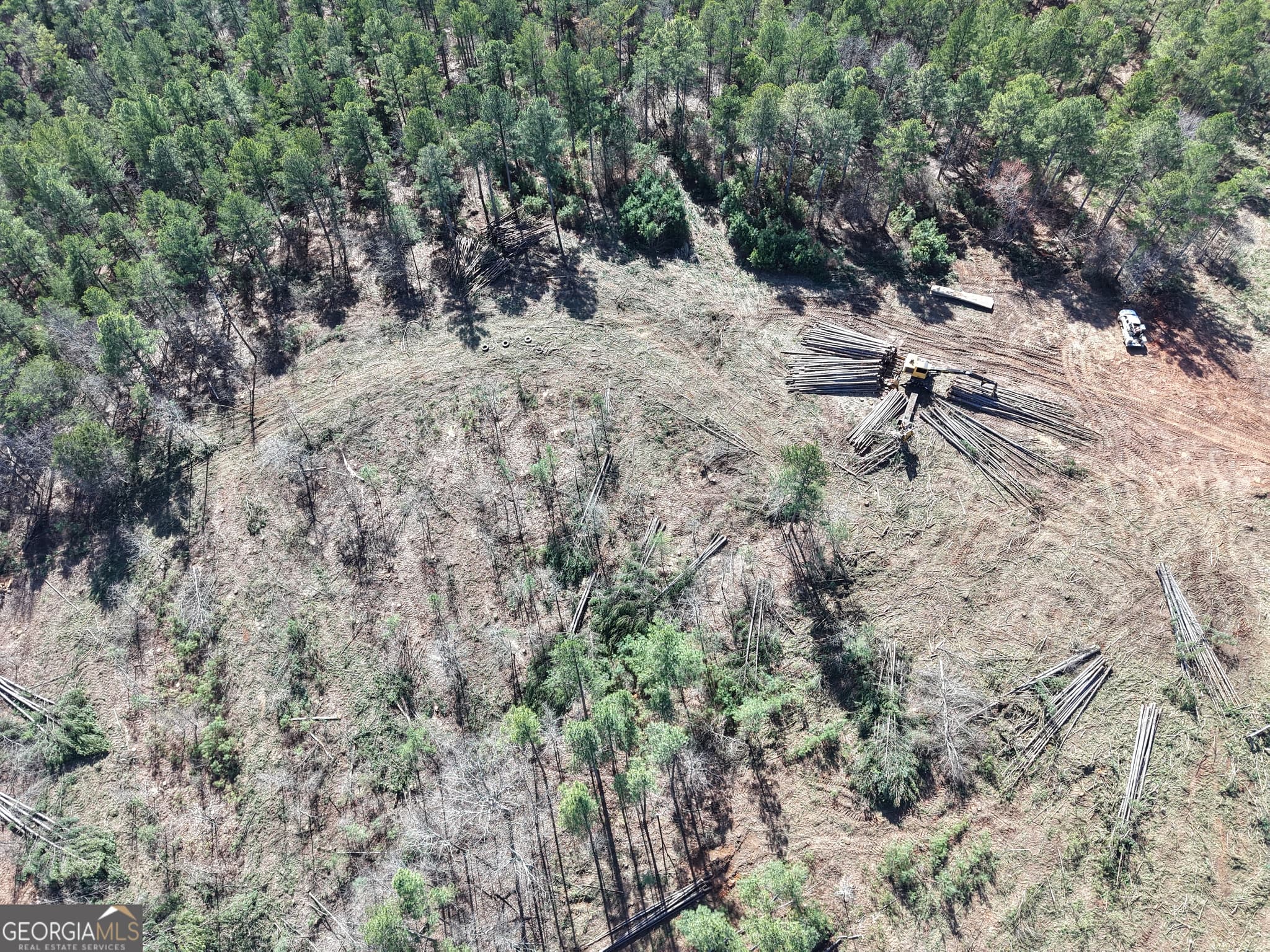 unimproved land for sale at 0 Rock Fence Road 8107, Adairsville, GA 30103 — photo 10
