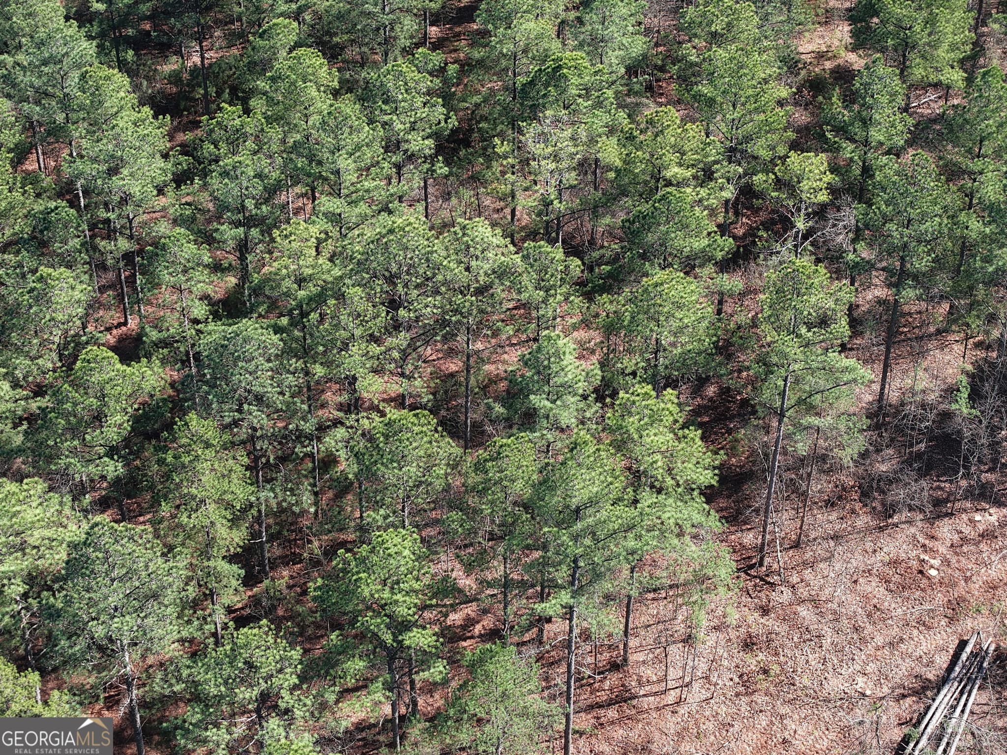 unimproved land for sale at 0 Rock Fence Road 8107, Adairsville, GA 30103 — photo 8