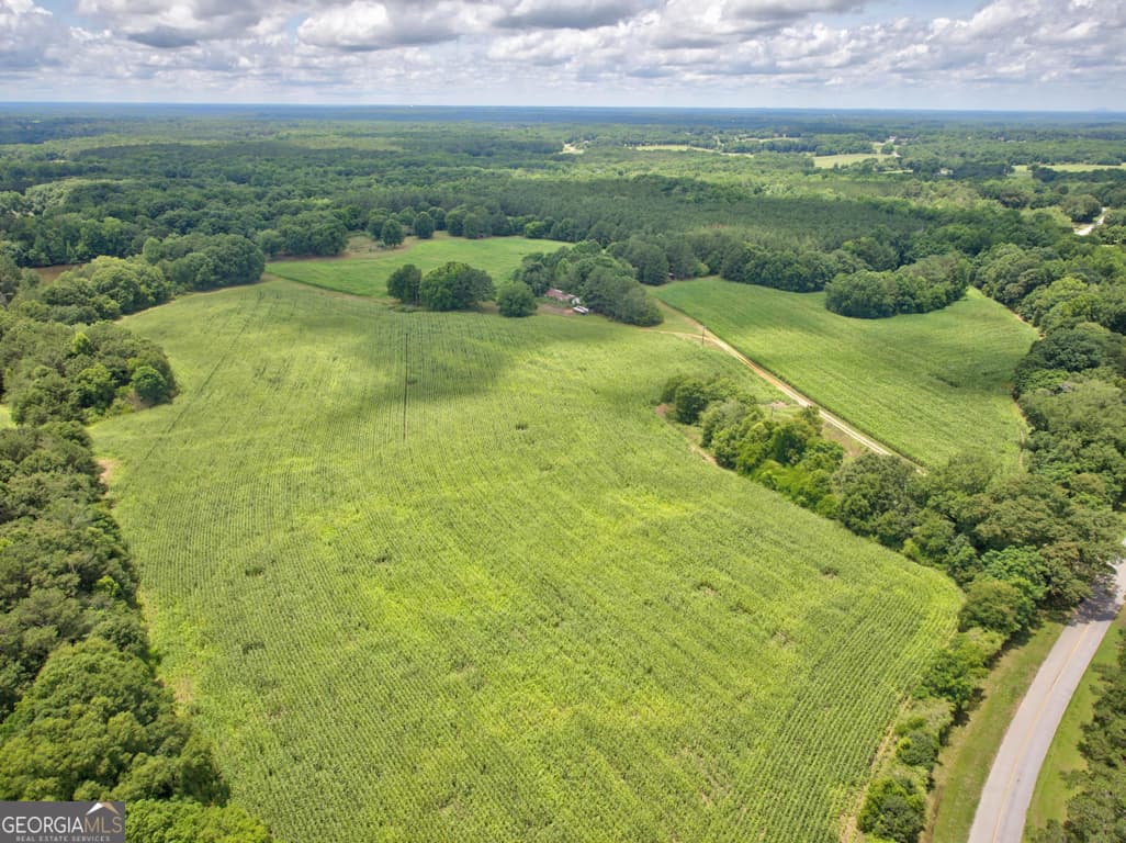 agriculture for sale at 0 Marks Road, Mansfield, GA 30055 — photo 6
