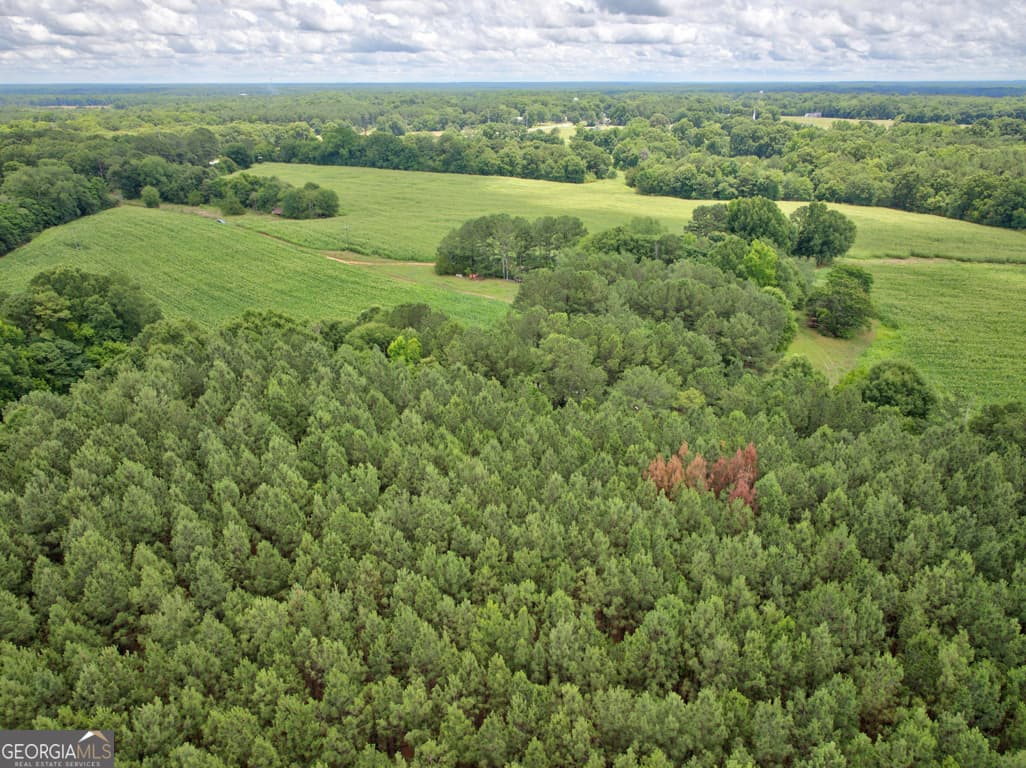 agriculture for sale at 0 Marks Road, Mansfield, GA 30055 — photo 9