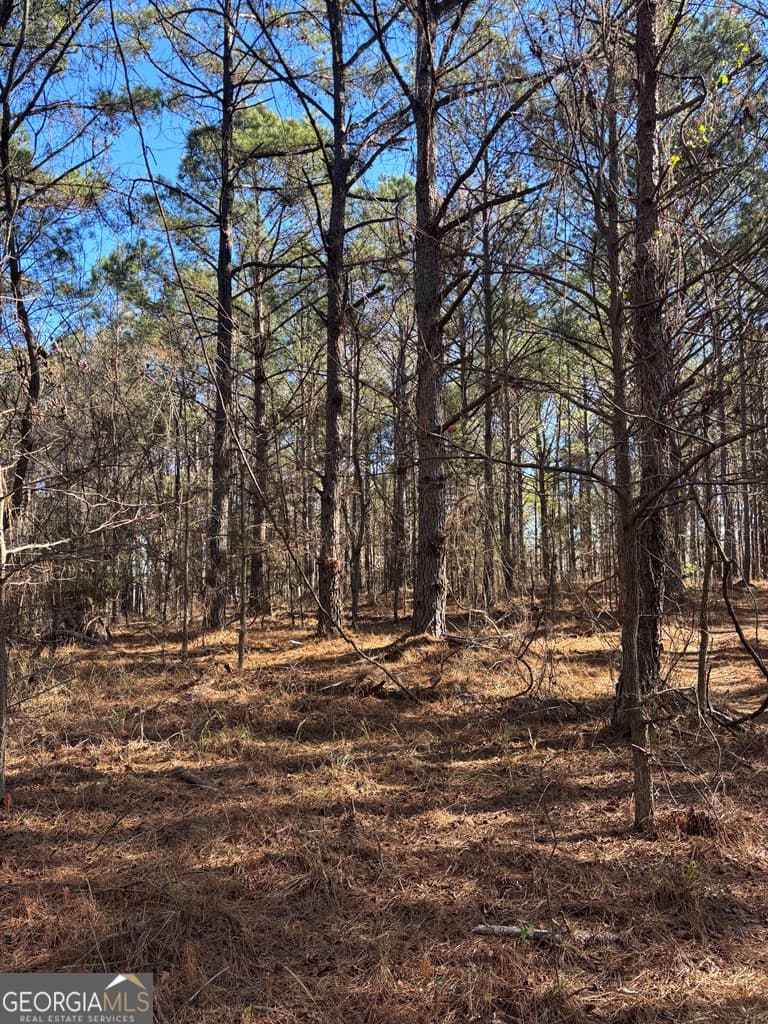 residential lot for sale at 0 Geneva Highway, Talbotton, GA 31827 — photo 2
