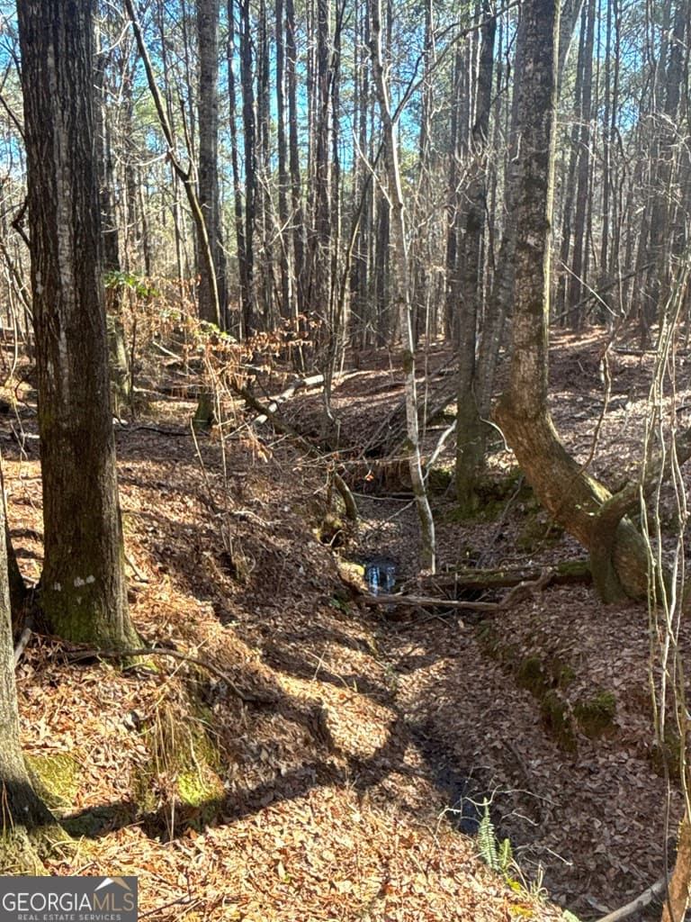 residential lot for sale at 0 Geneva Highway, Talbotton, GA 31827 — photo 7