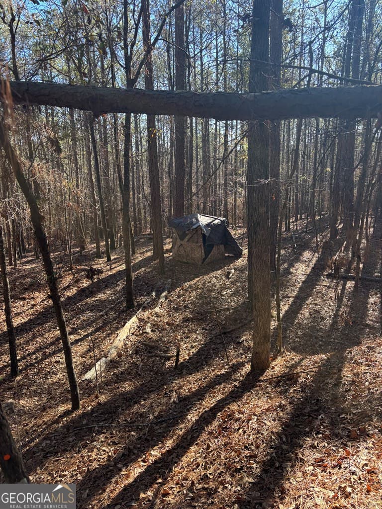 residential lot for sale at 0 Geneva Highway, Talbotton, GA 31827 — photo 3