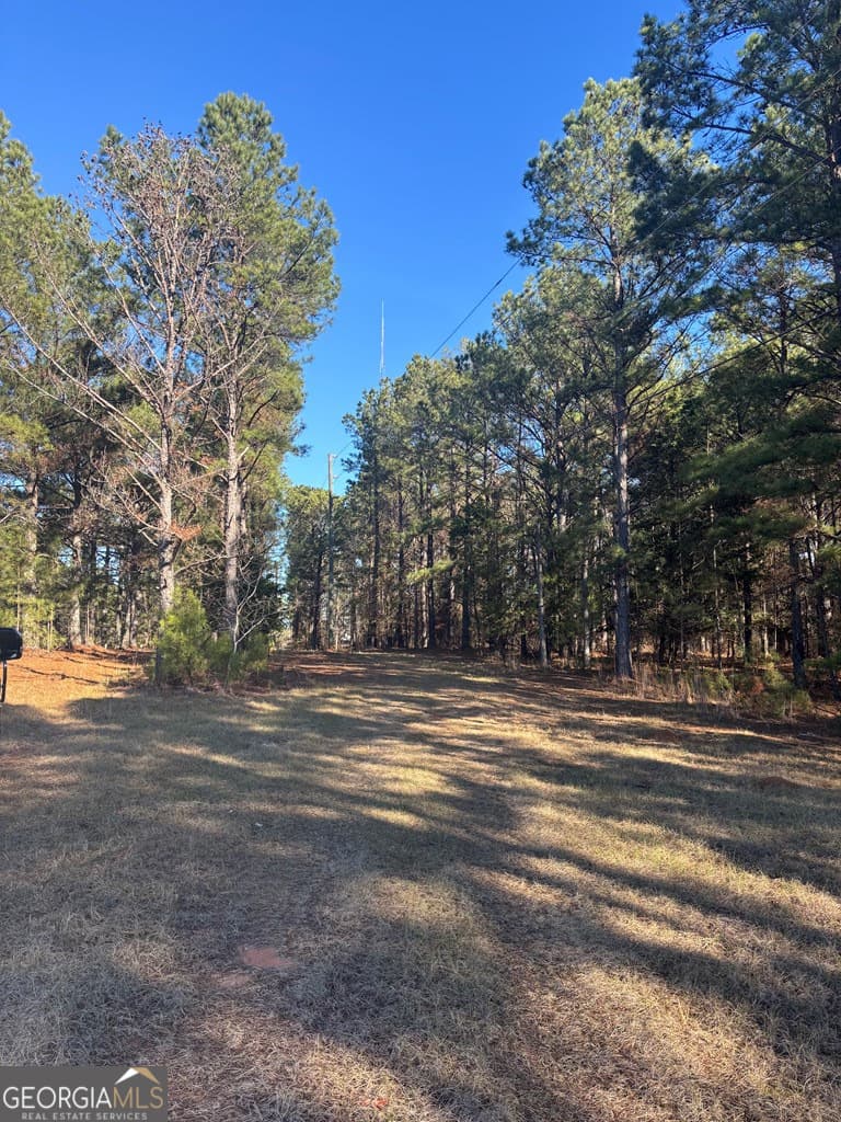 residential lot for sale at 0 Geneva Highway, Talbotton, GA 31827 — photo 1 of 15