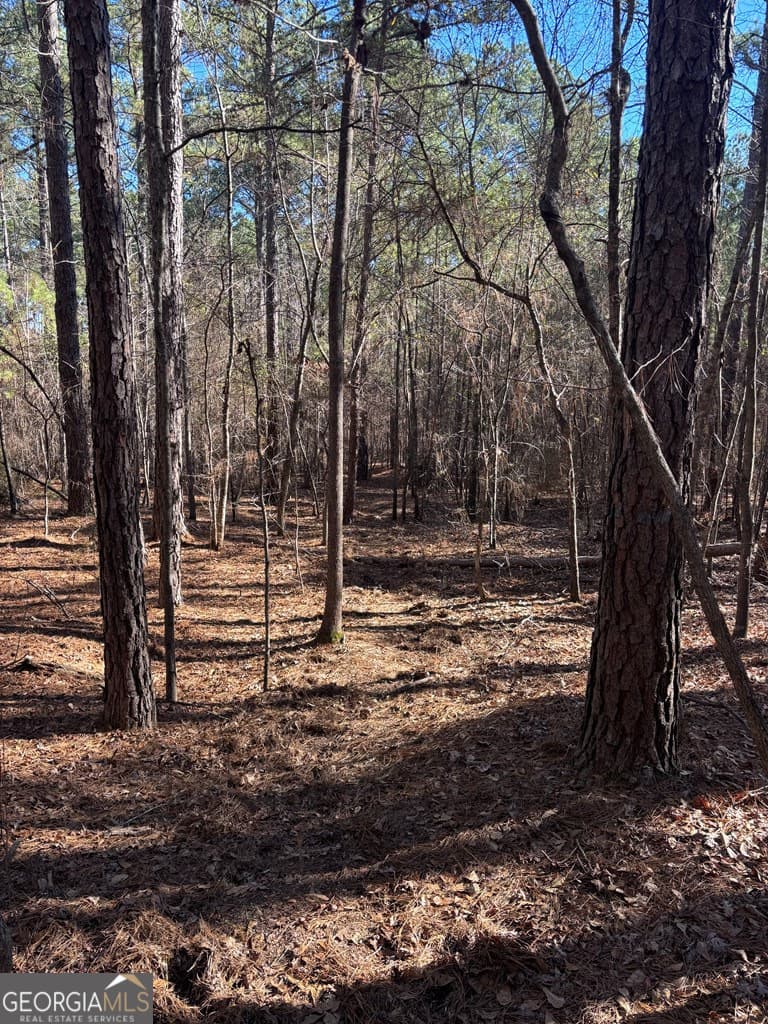 residential lot for sale at 0 Geneva Highway, Talbotton, GA 31827 — photo 5
