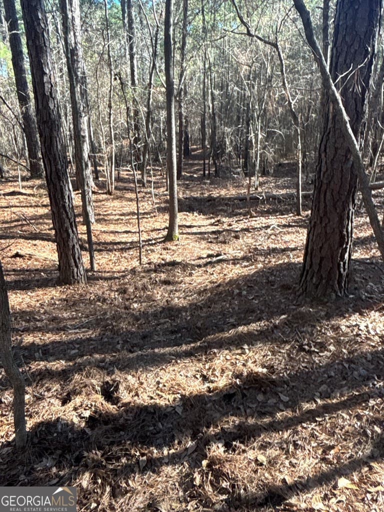 residential lot for sale at 0 Geneva Highway, Talbotton, GA 31827 — photo 4