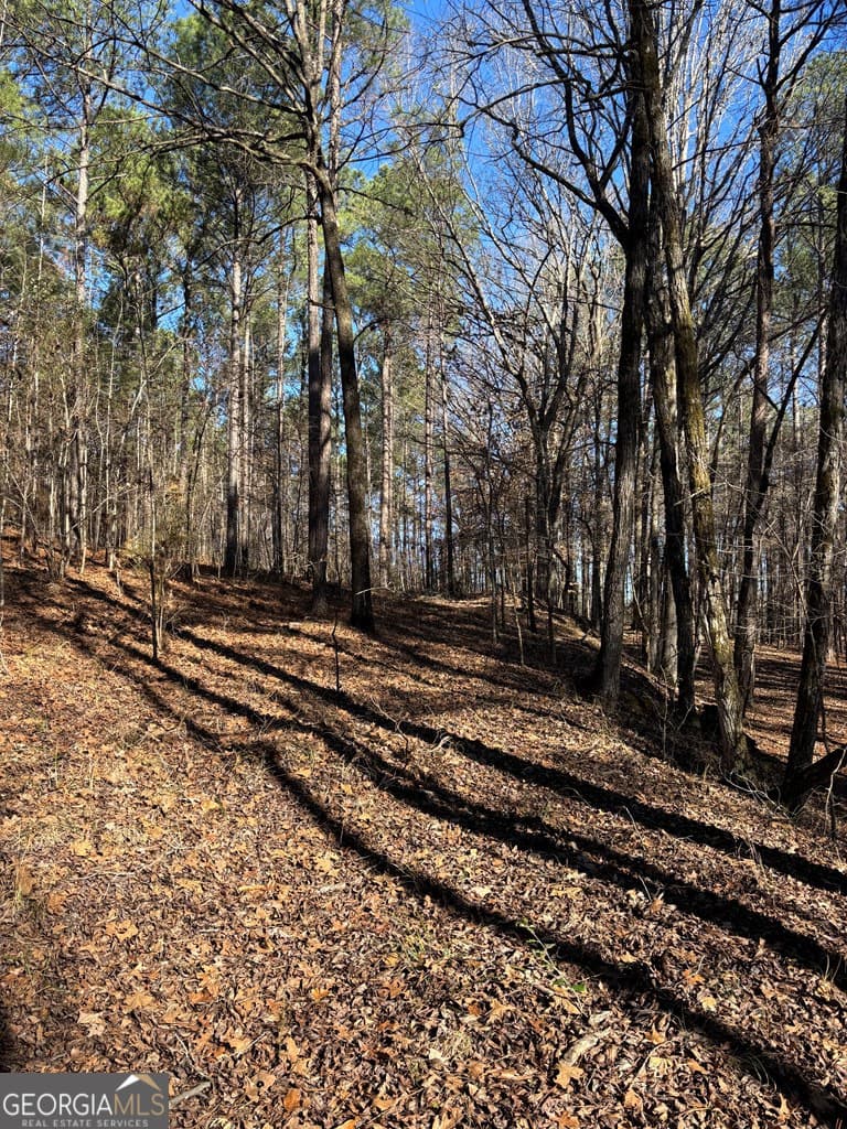 residential lot for sale at 0 Geneva Highway, Talbotton, GA 31827 — photo 8