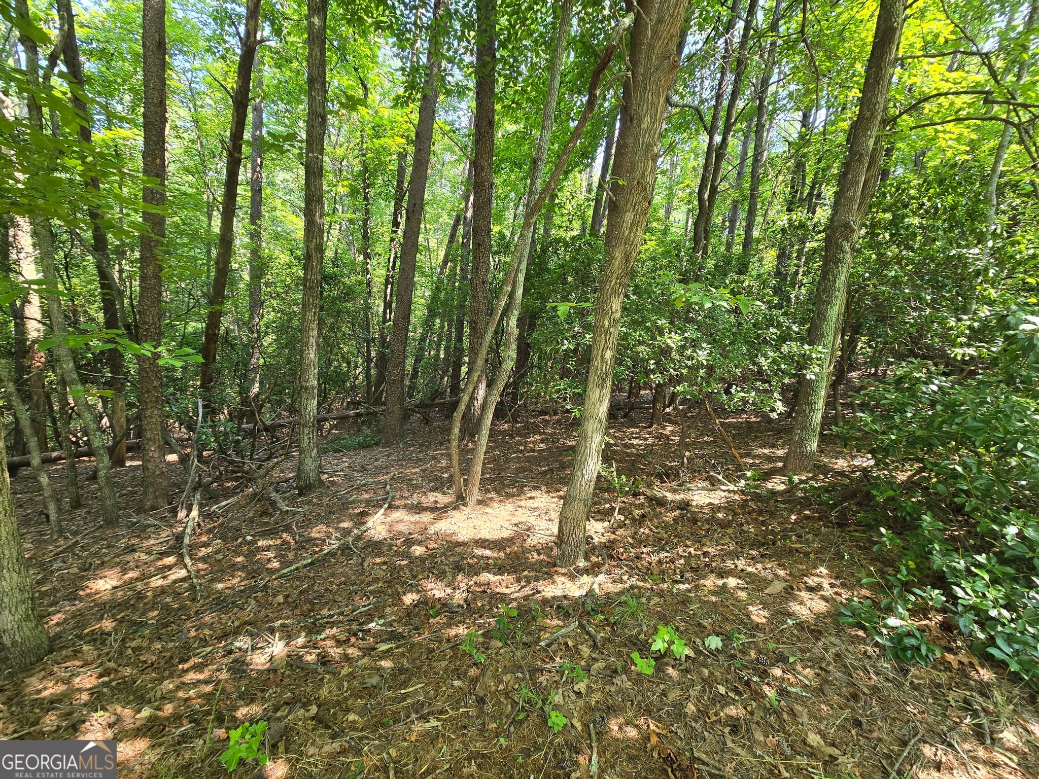 residential lot for sale at C2 Quail Run, Sautee Nacoochee, GA 30571 — photo 2