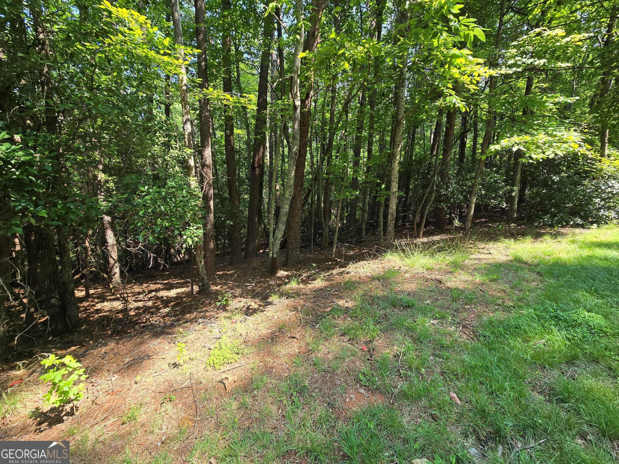 residential lot for sale at C2 Quail Run, Sautee Nacoochee, GA 30571 — photo 6