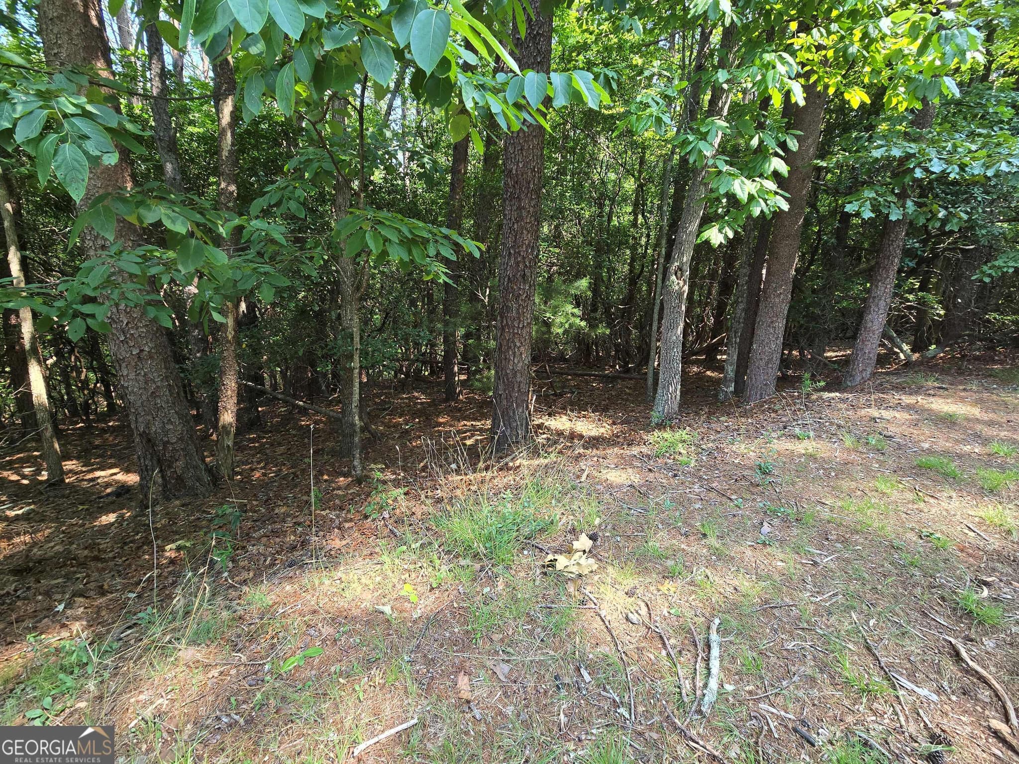 residential lot for sale at C2 Quail Run, Sautee Nacoochee, GA 30571 — photo 7